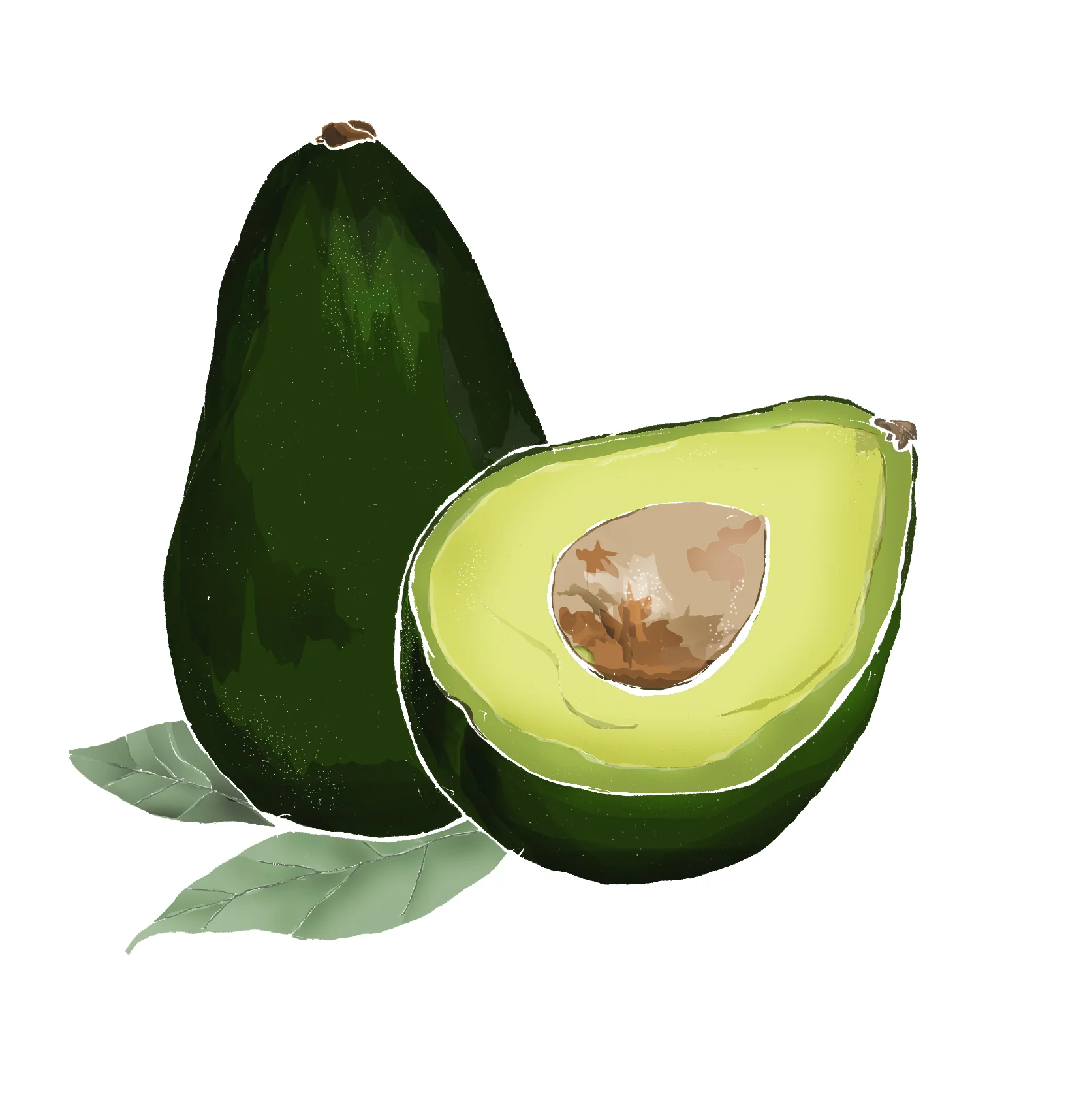 A - Avocado