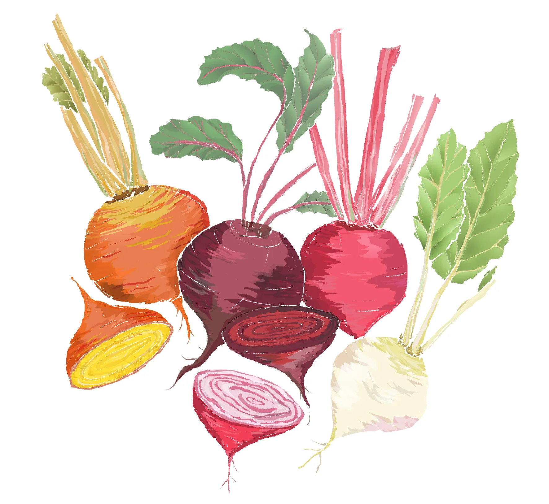 B - Beetroot