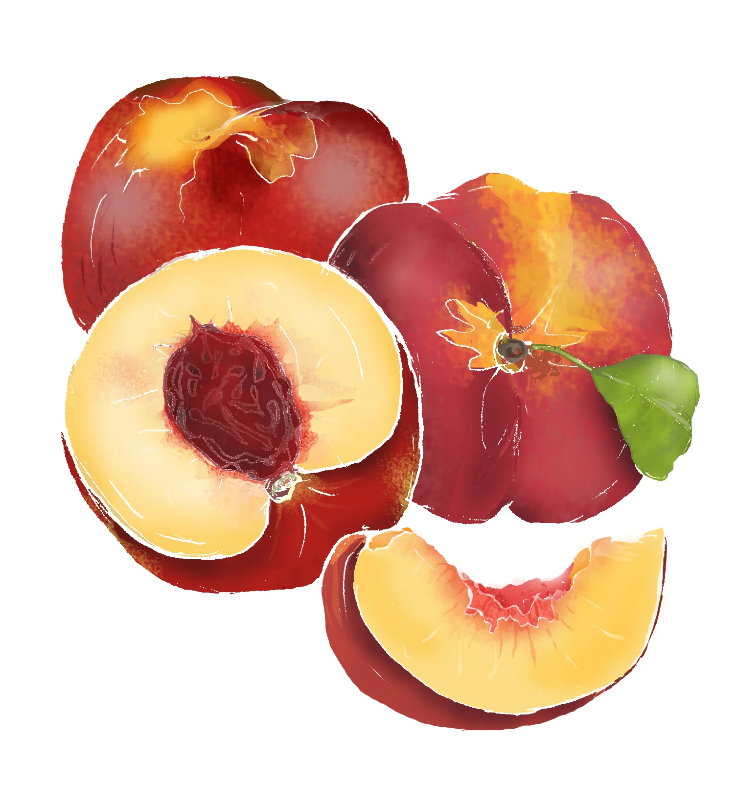N - Nectarine