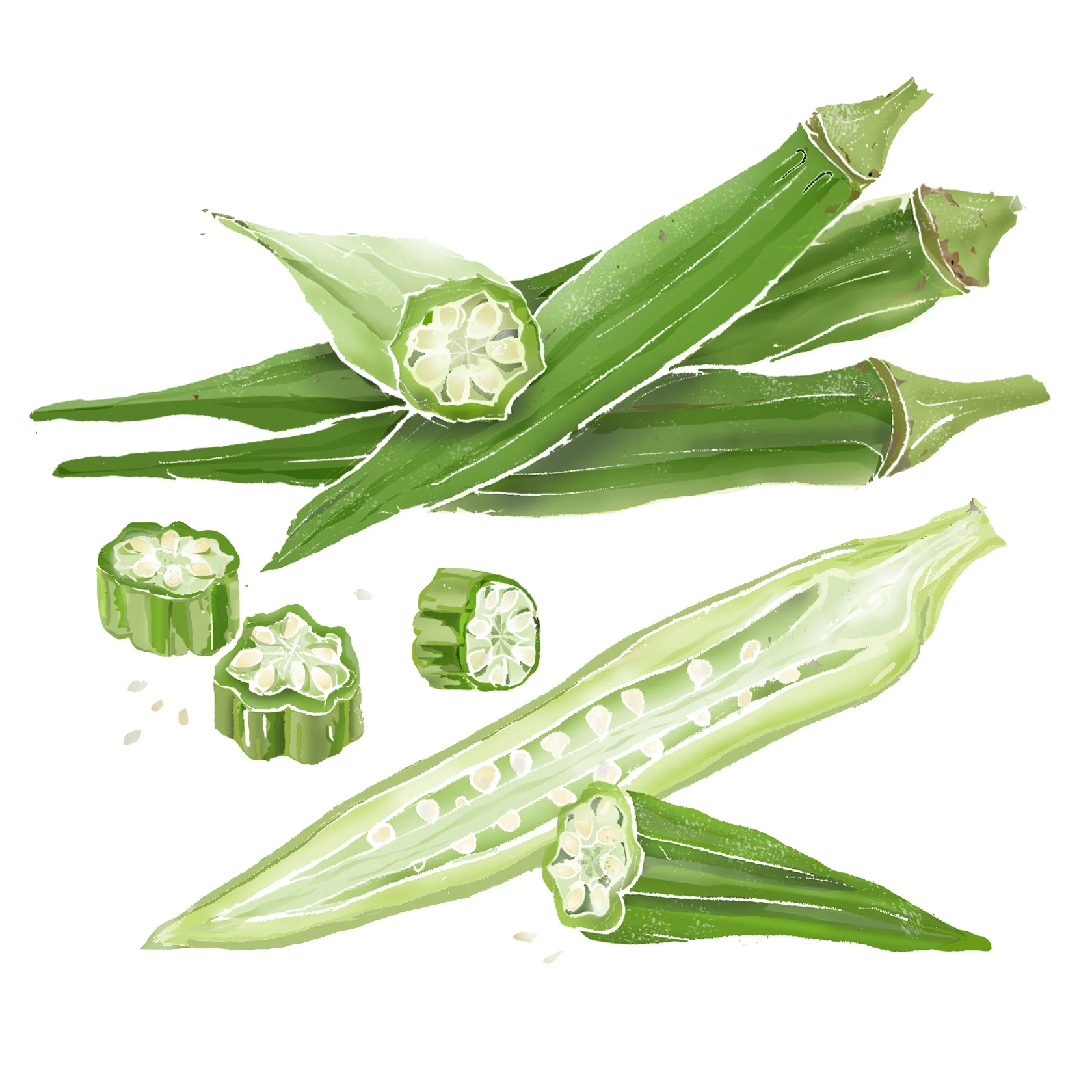 O - Okra