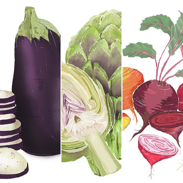 What’s in season this May?... some of my favourite vegetables! Aubergine, artichoke & beetroot! 🍽🌱 All of my vegetable prints are available to buy as A4 prints from my Etsy shop IllustrationsByApril 🙂