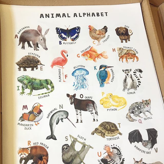I always get excited when someone buys something from my shop...but today was super exciting as a customer all the way over in Malaysia 🇲🇾 bought one of my animal alphabet posters 🙌🏼 So nice to know they will be dotted around the world 🌍 #Etsy #etsyseller #merseyetsyteam #animalalphabet #internationalcustomer #worldwideshipping #etsyuk #animalprint #animalposter #childrensposters #az #animalaz #veganartist #veganprint #veganillustrator #animalloversofinstagram #animallover #unusualanimals #nurserydecor #kidsgifts