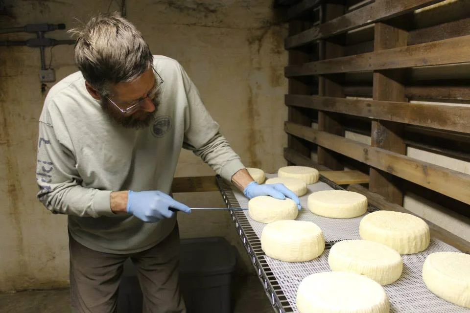 As a dairy foods consultant and artisan cheesemaker, Peter Dixon draws on over 38 years of cheesemaking, as well as 25 years of consulting with people engaged in or interested in making cheese and dairy products.