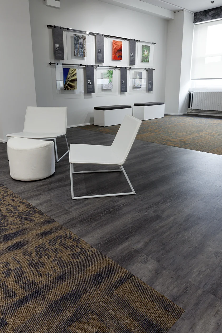 EF CONTRACTShowroom_9976.jpg