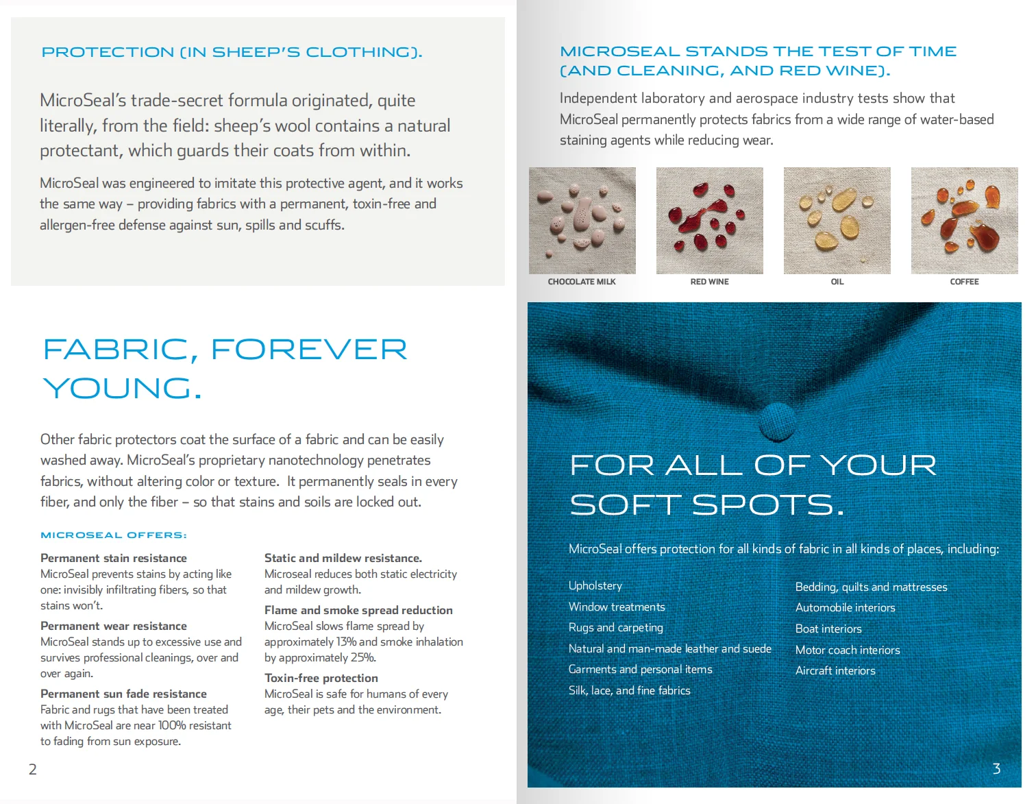 Brochure-2.jpg