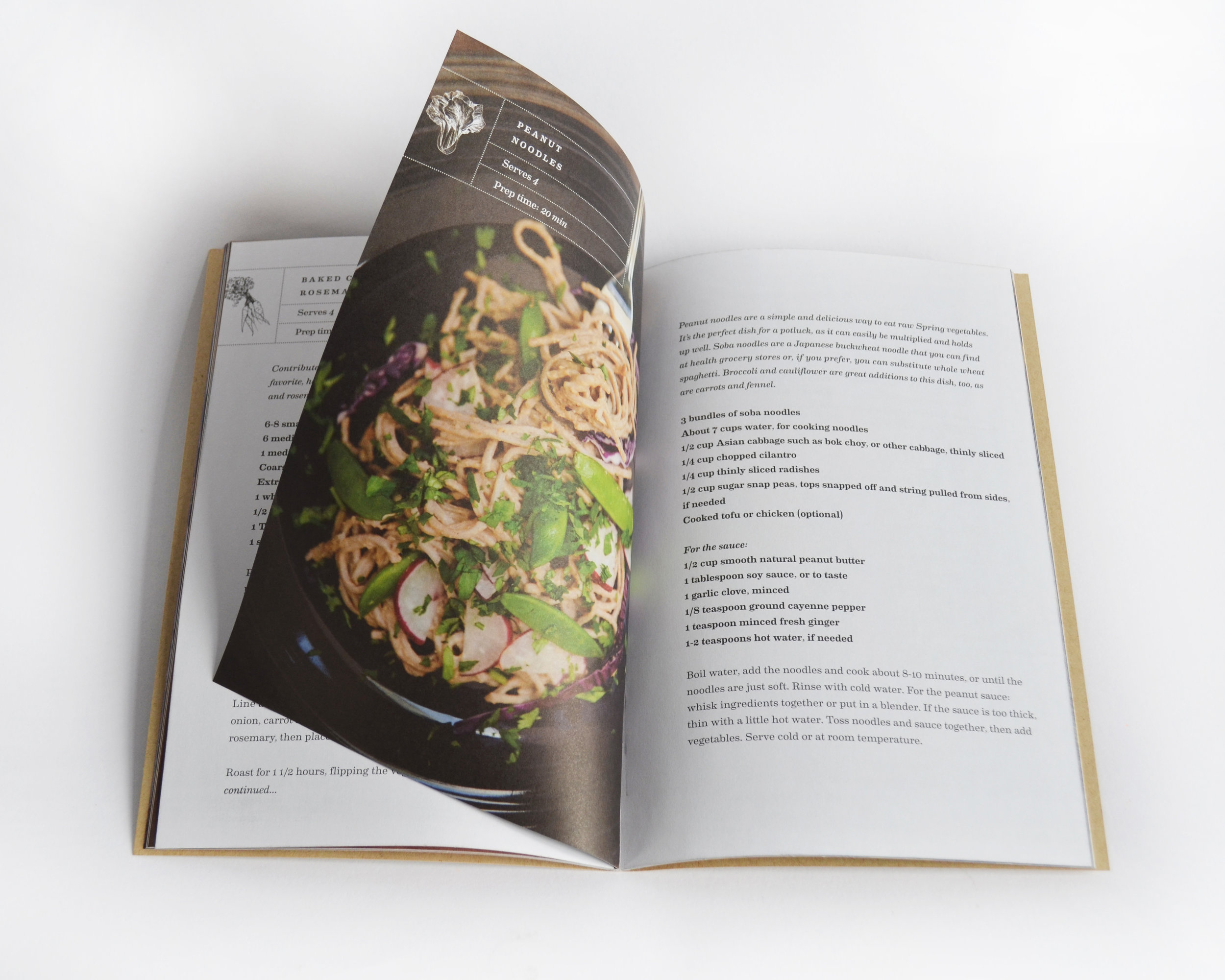 Gaining Ground20130814_0009.JPG