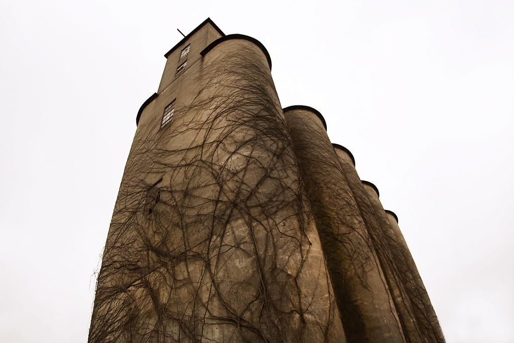 Religious Choke Hold