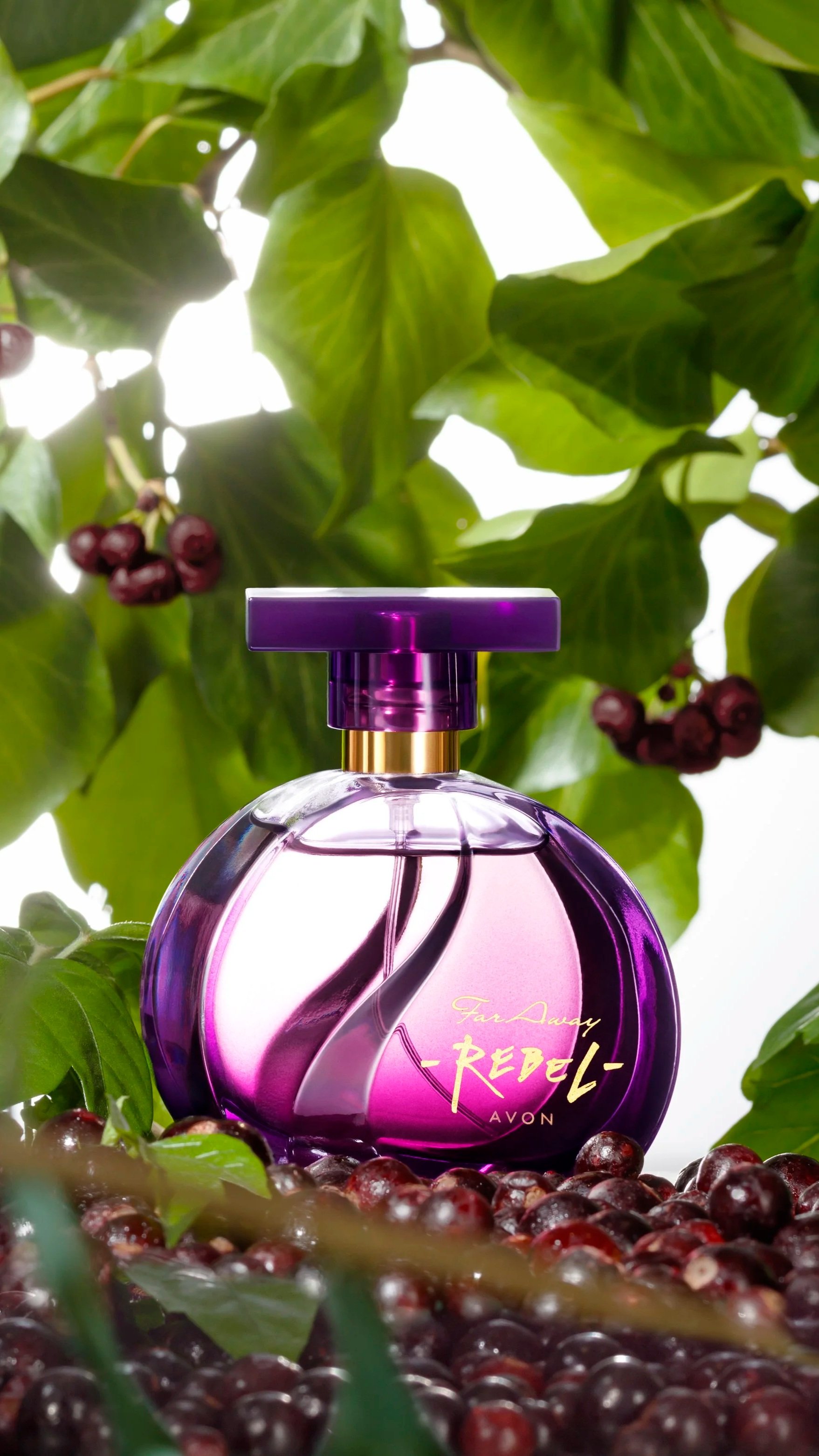 c07_fra_omb_7_ 31_вертикаль.jpg