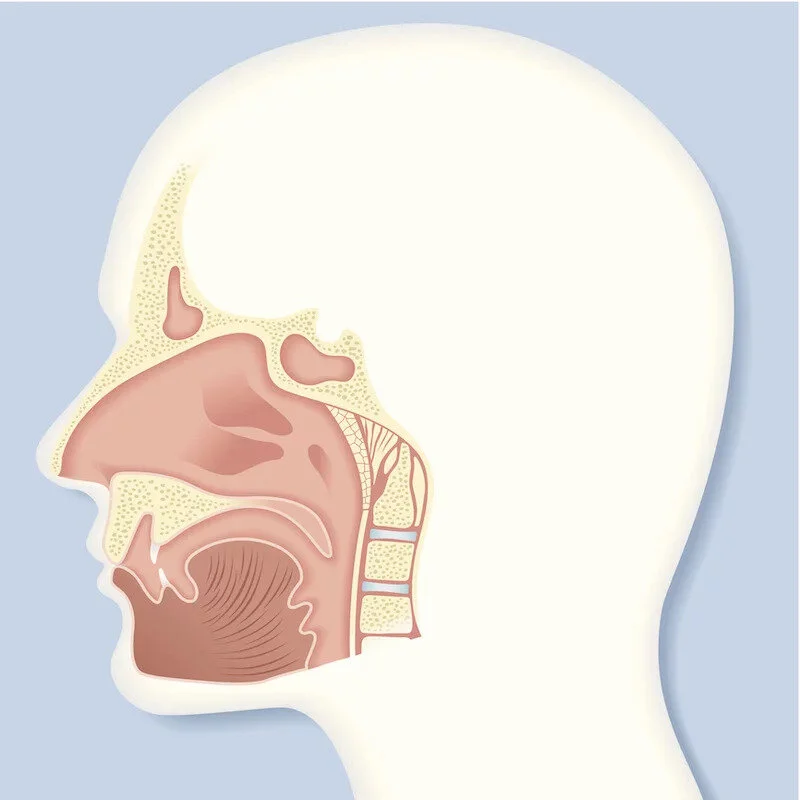 Sinus Surgery Options: Balloon Sinuplasty