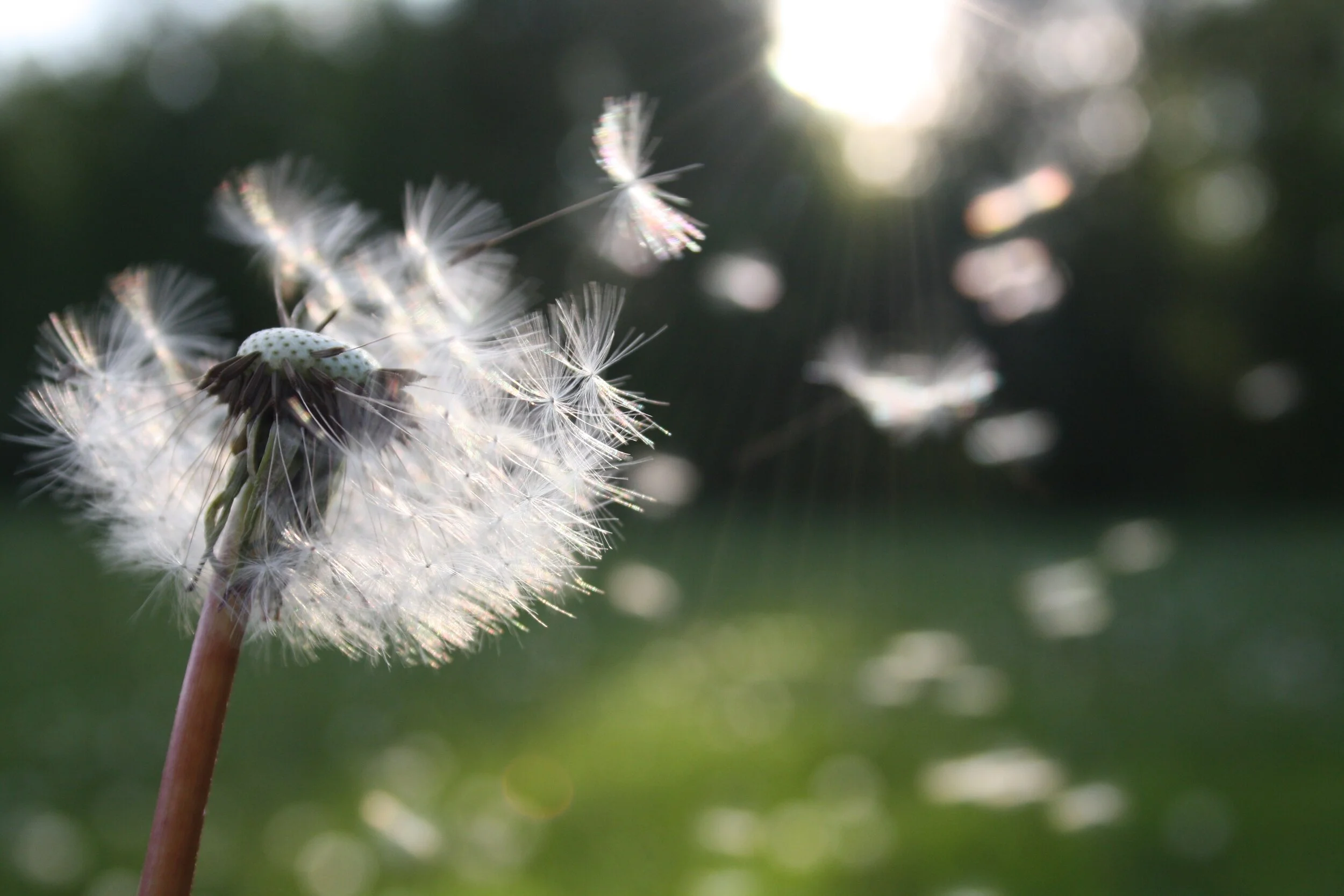Allergy Season is Coming — Are You Ready?