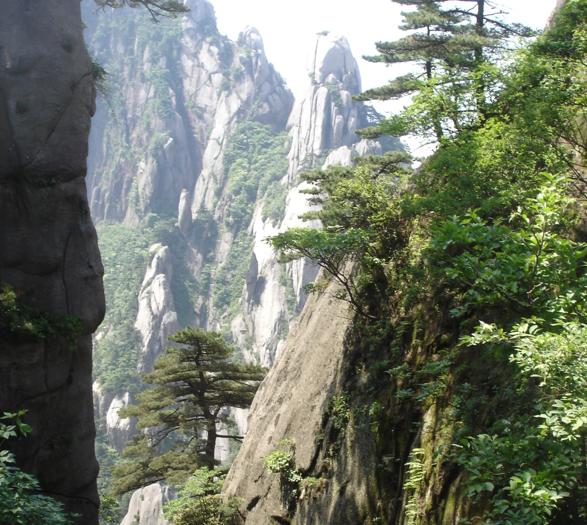 DSC09554.JPG