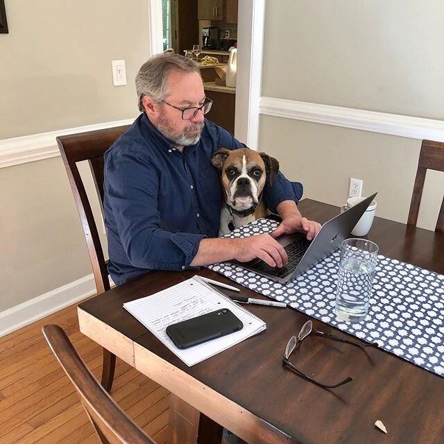 Alice is really getting into this working from home thing. #boxersofinstagram