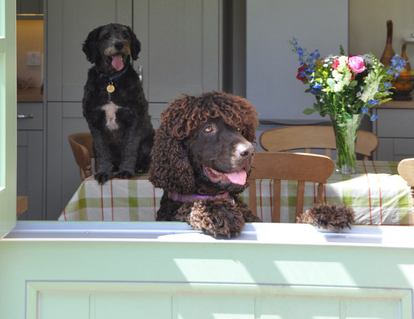 Buzby and Murphy