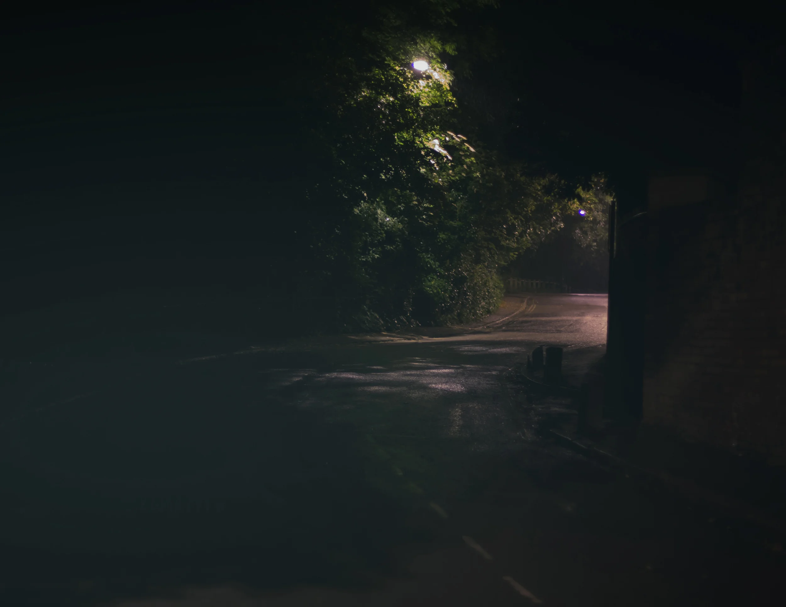 Night Walk