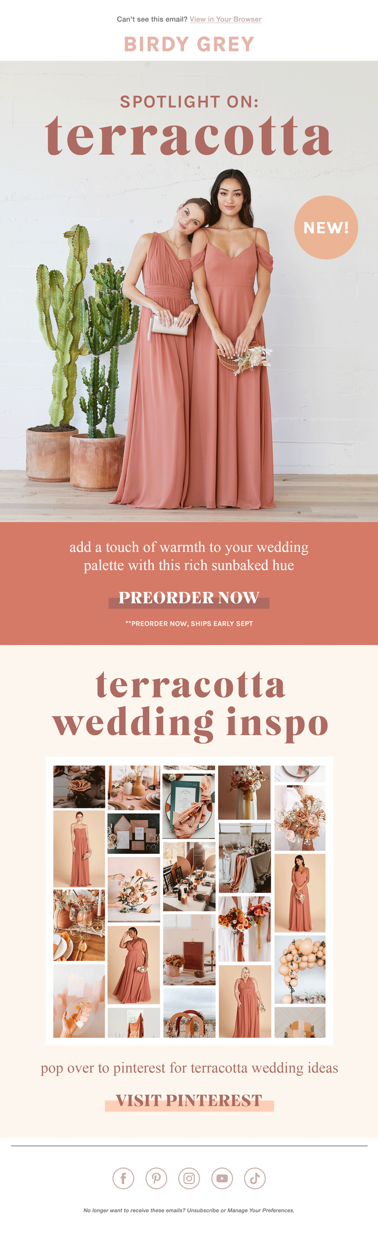 bridesmaid dresses birdy grey