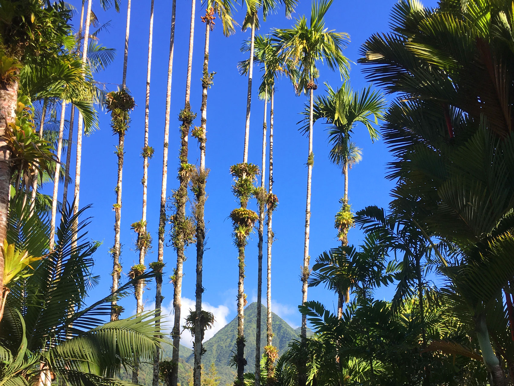 vue-pitons.jpg