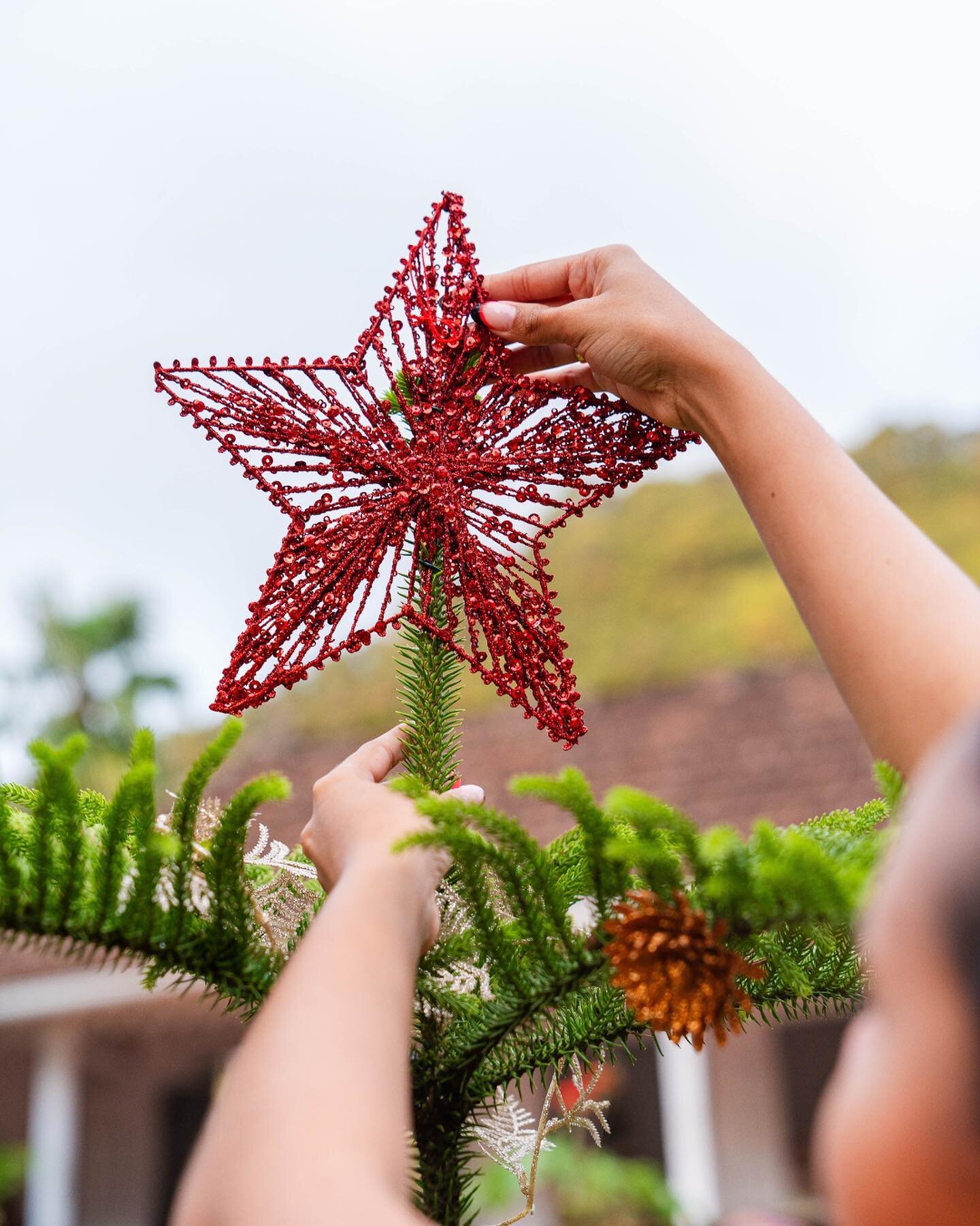 🌟 L&rsquo;esprit de No&euml;l a envahi le jardin !🎄 D&egrave;s l&rsquo;entr&eacute;e, laissez-vous enchanter par l&rsquo;ambiance festive. 🌺✨ 
Nos &eacute;quipes vous ont pr&eacute;par&eacute; un planning d&rsquo;animations sp&eacute;ciales No&eum