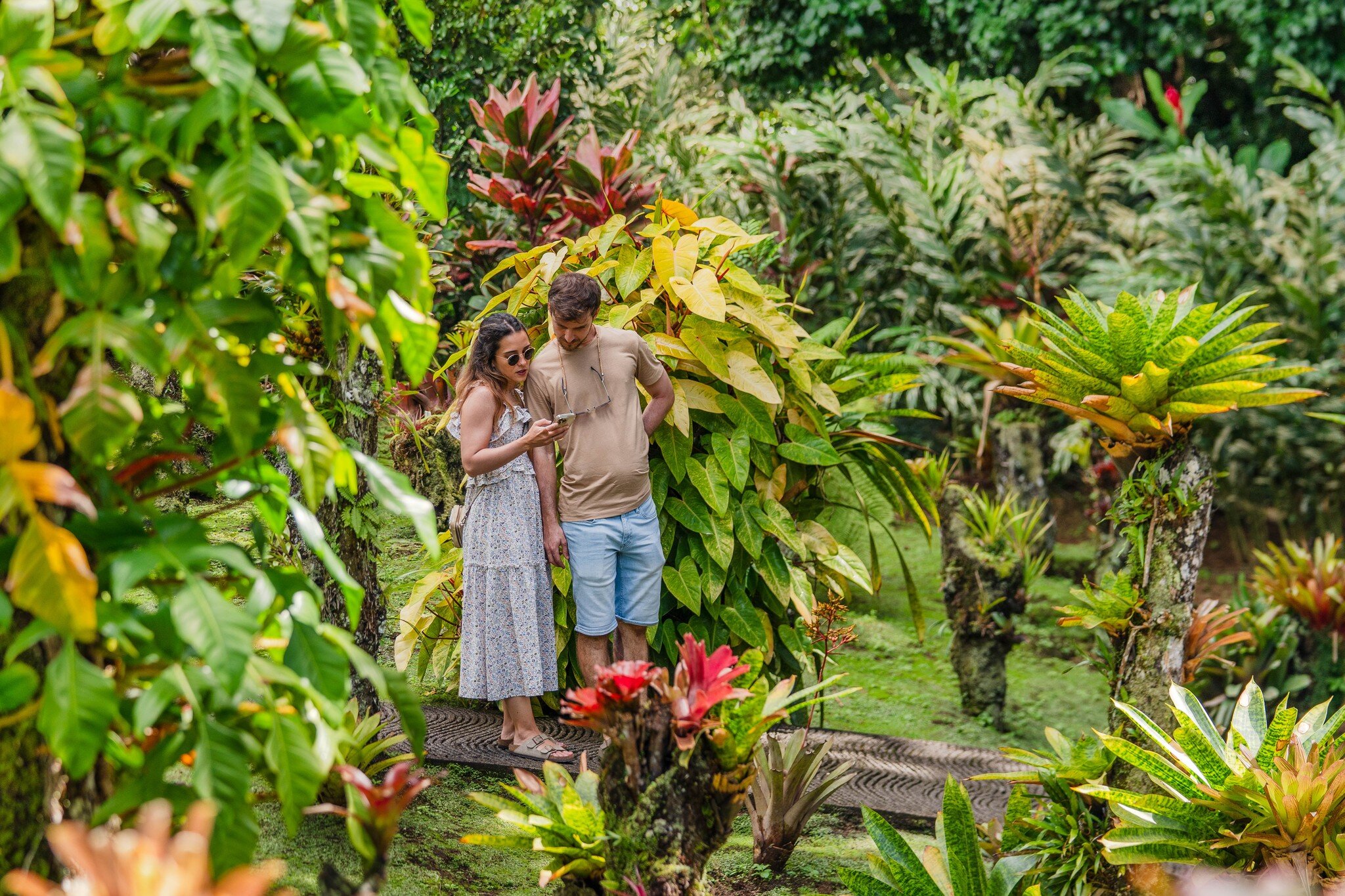 Fl&acirc;nez main dans la main &agrave; travers le Jardin. 🌼 
L'escapade parfaite pour se reconnecter et admirer la splendeur de notre belle Martinique. 🌴🌺
R&eacute;servez d&egrave;s maintenant votre pause nature sur 📲: www.jardindebalata.fr/bill