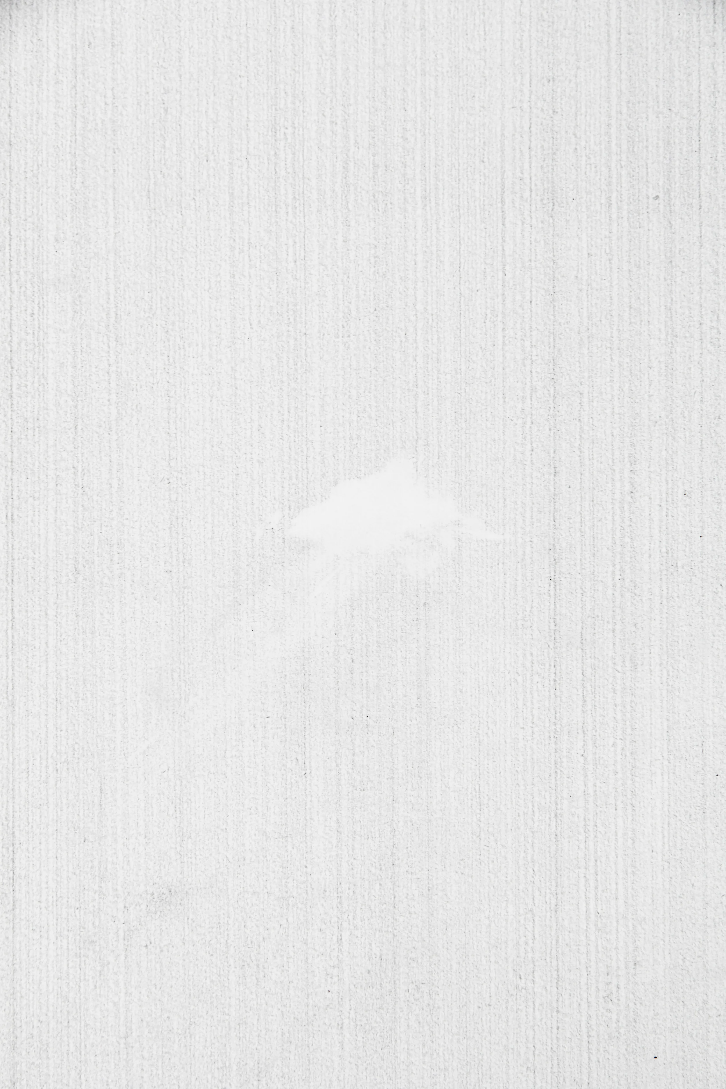 005_04.jpg