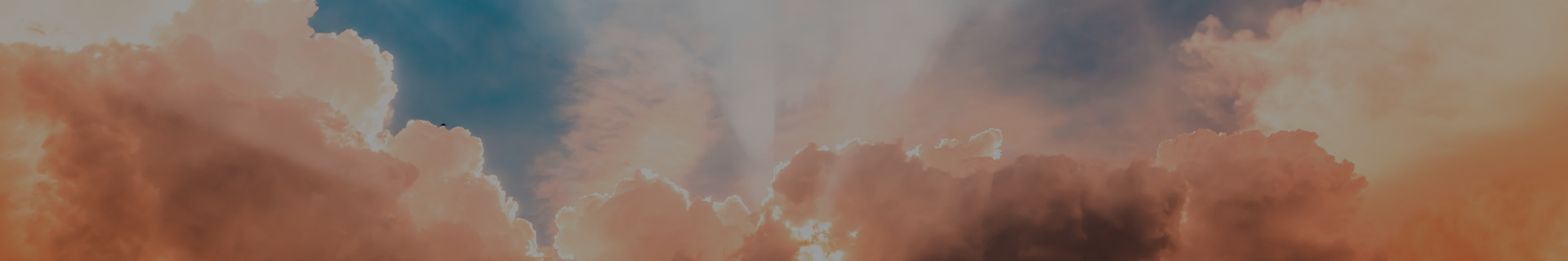 Jesus said, Let the little children come to me, and do not hinder them, for the kingdom of heaven belongs to such as these. (1).png