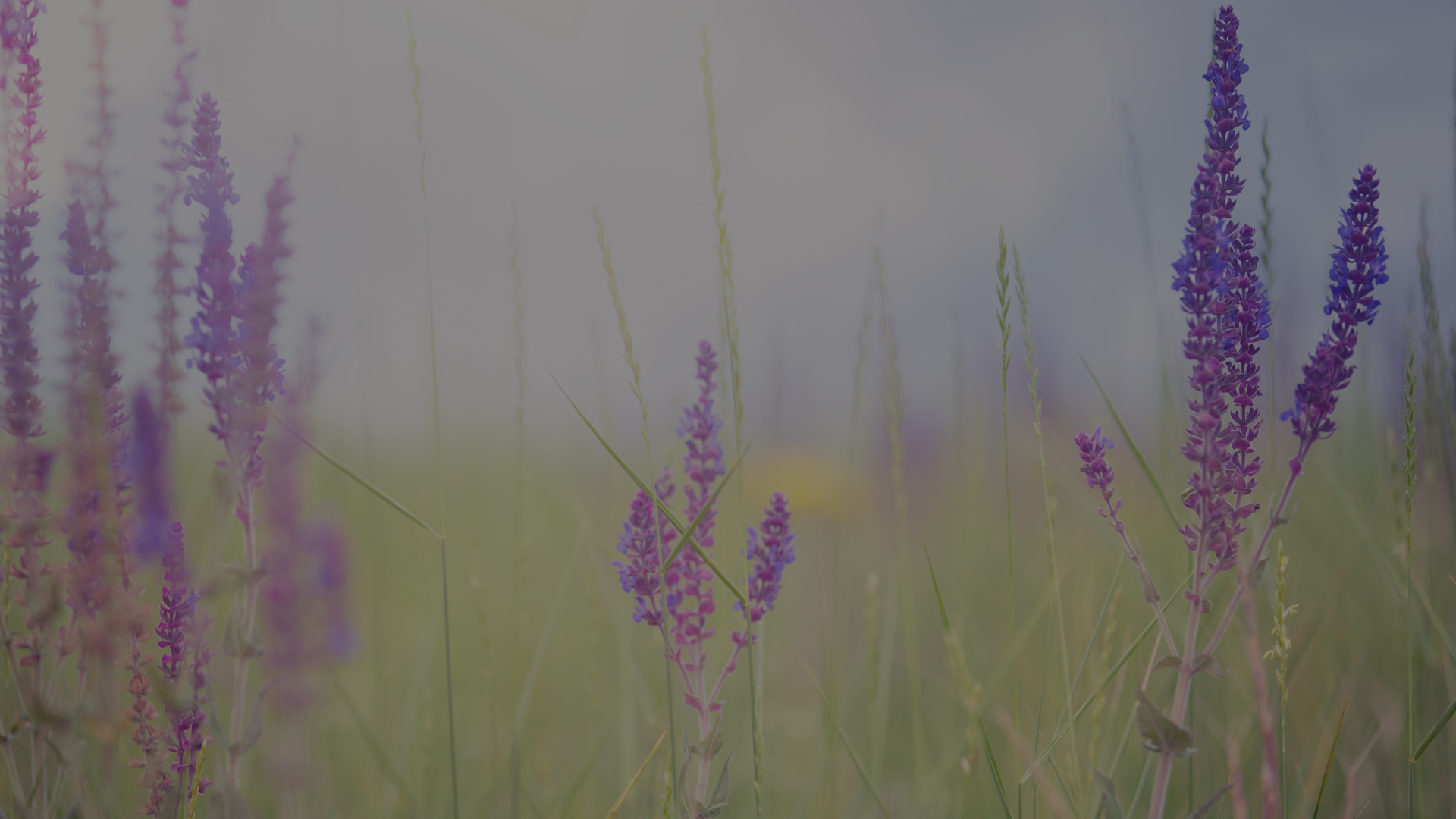 Welcome to Calvary Chapel Iron River (5).png