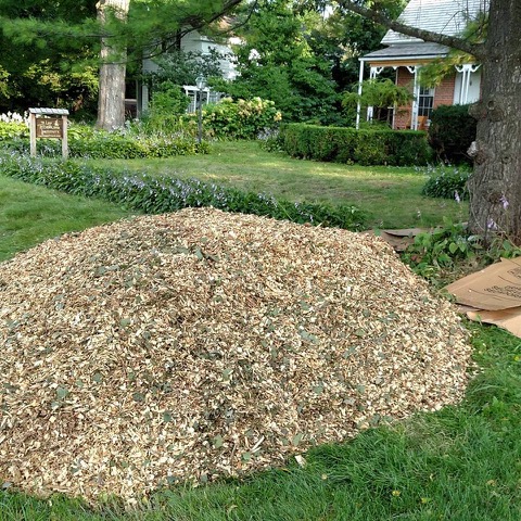 Wood Chip Delivery.jpeg