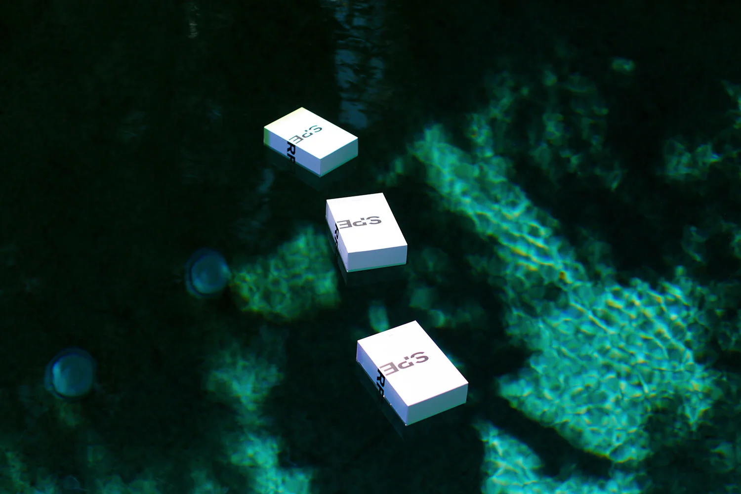 S-Perfume® at Sheats Goldstein Residence (Copy)