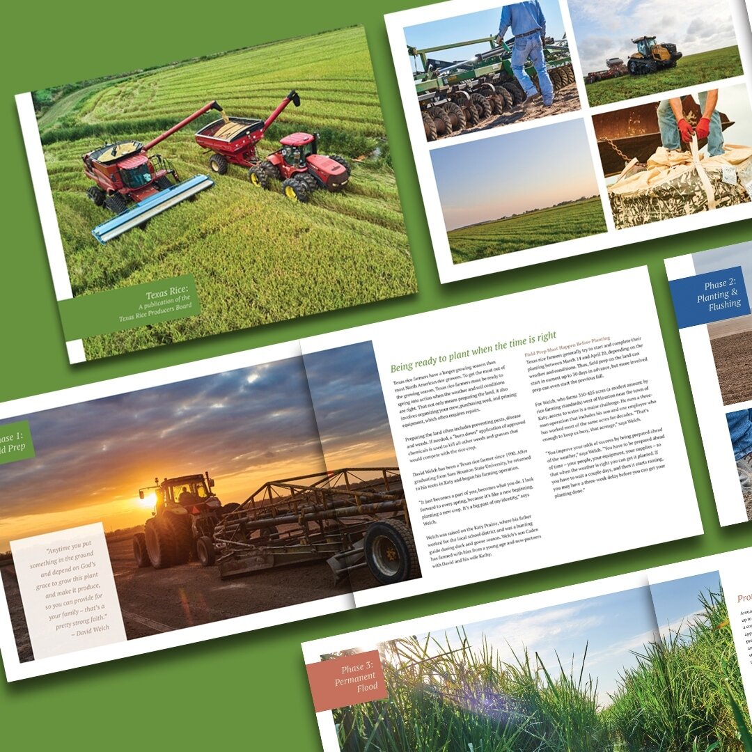 Check out this collaboration with talented Houston photographer, @photography.ascott, in this multipage booklet for Texas Rice. Their stunning photos always make my work look even better. 📸