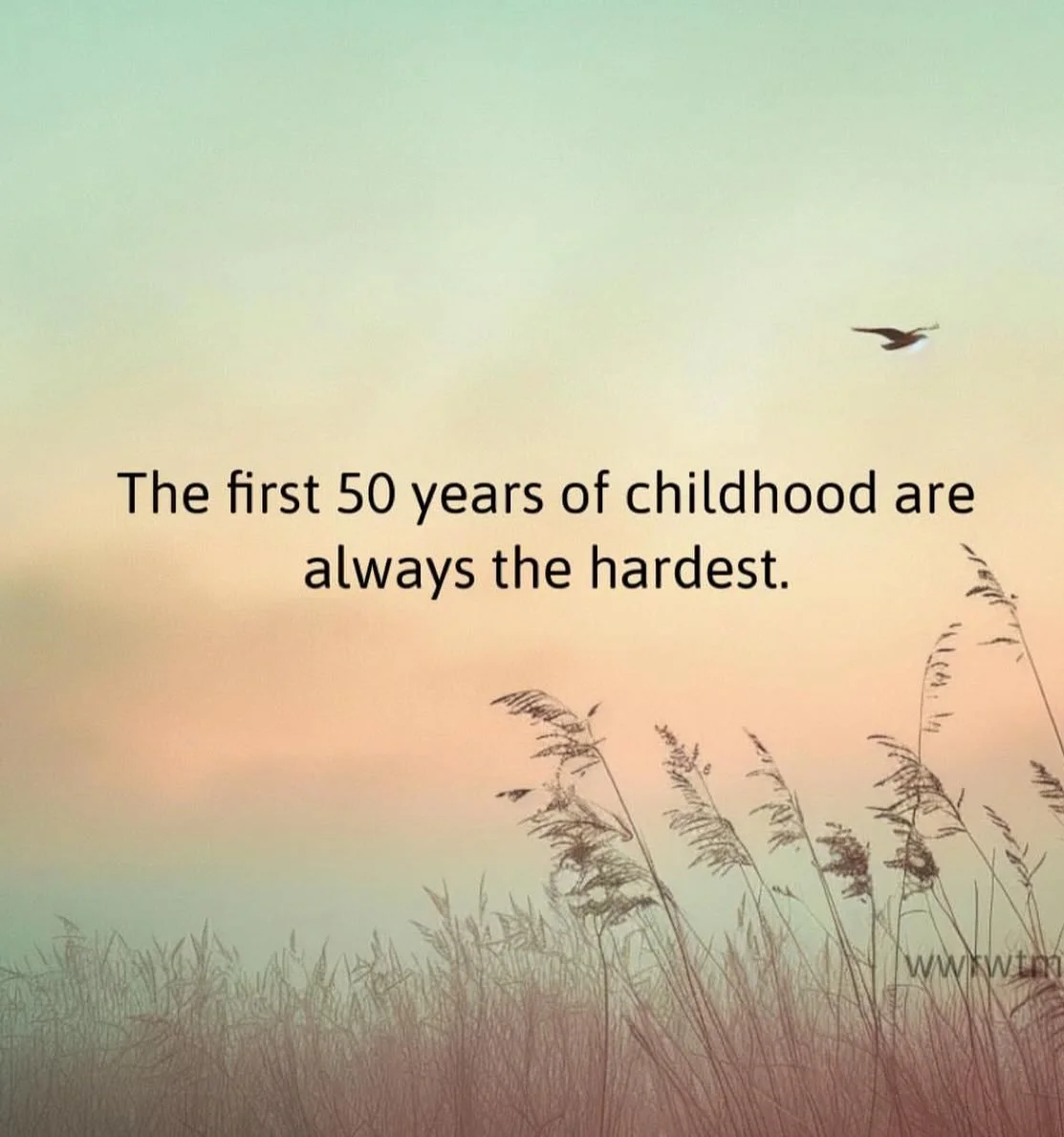 Something to remember this holiday season while back with the fam! 
Happy holidays ❄️ 
#emotionalmaturity #innerchild #adultcoping #emotionalintelligence #selfregulation