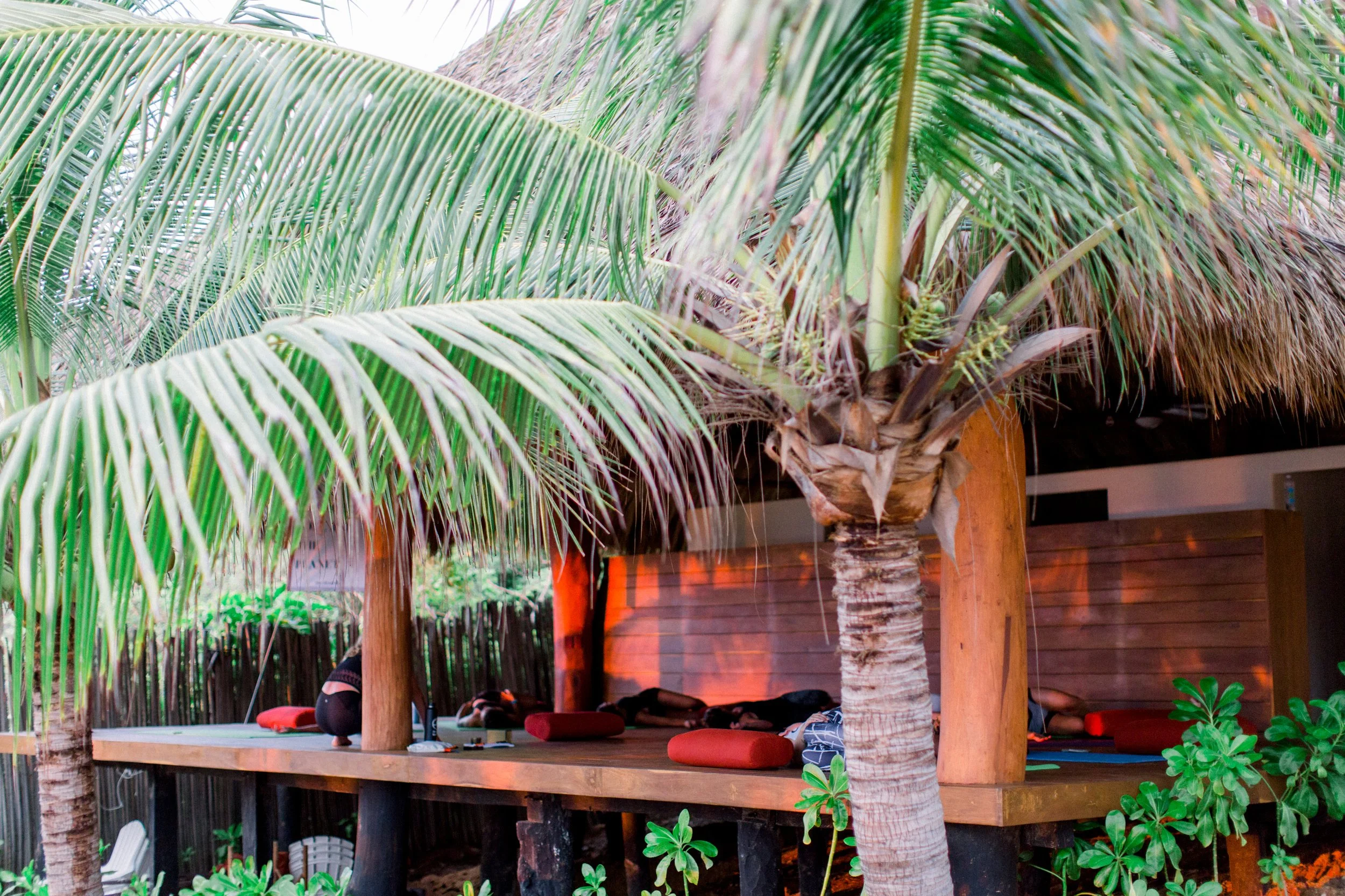 YogaStudioFar Away.JPG