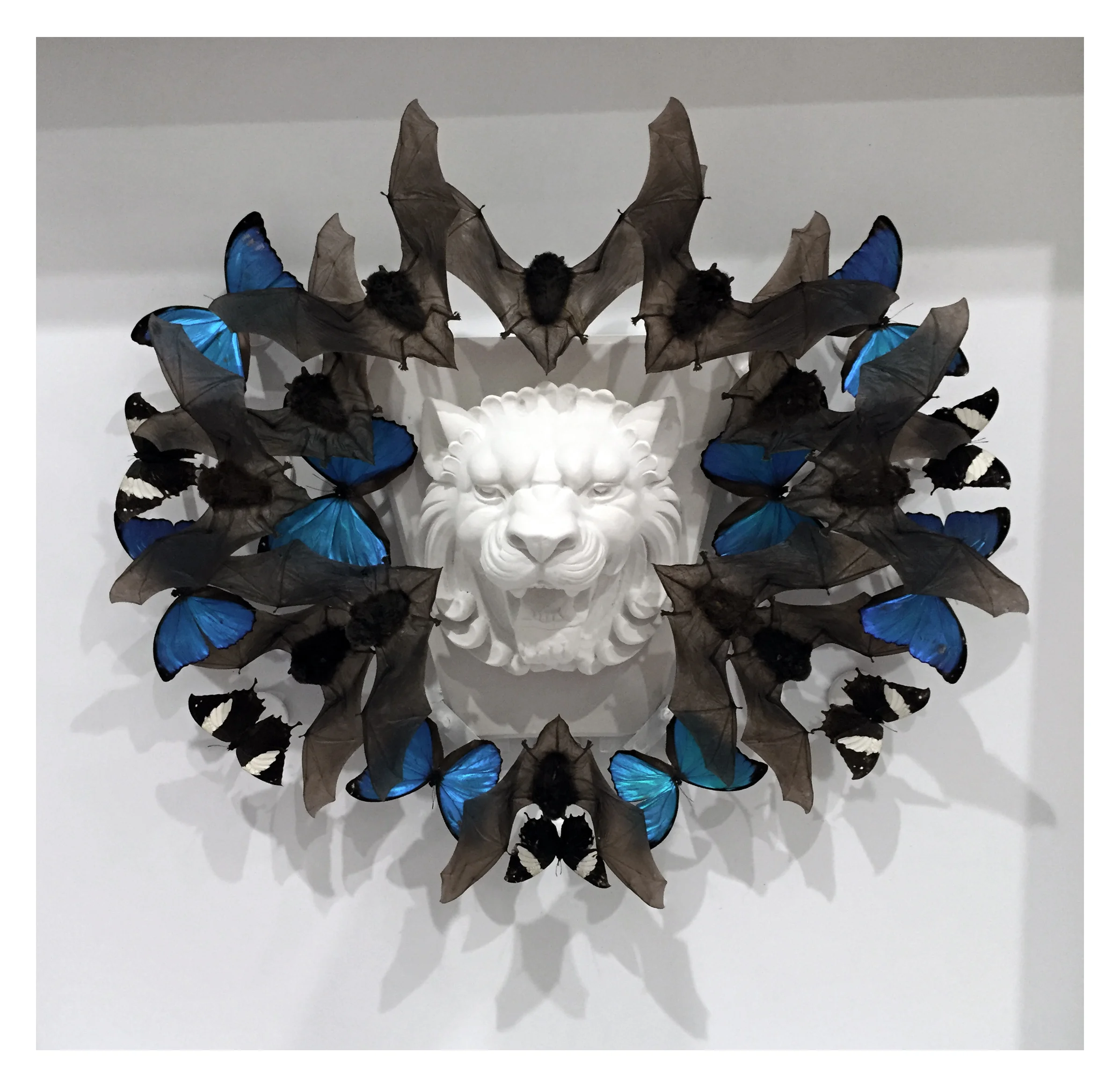 Joseph Grazi, "Scar" 2016. Taxidermy bats, dried butterflies, and stone sculpture on wood mounted in plexiglass. 34" x 34" x 8".