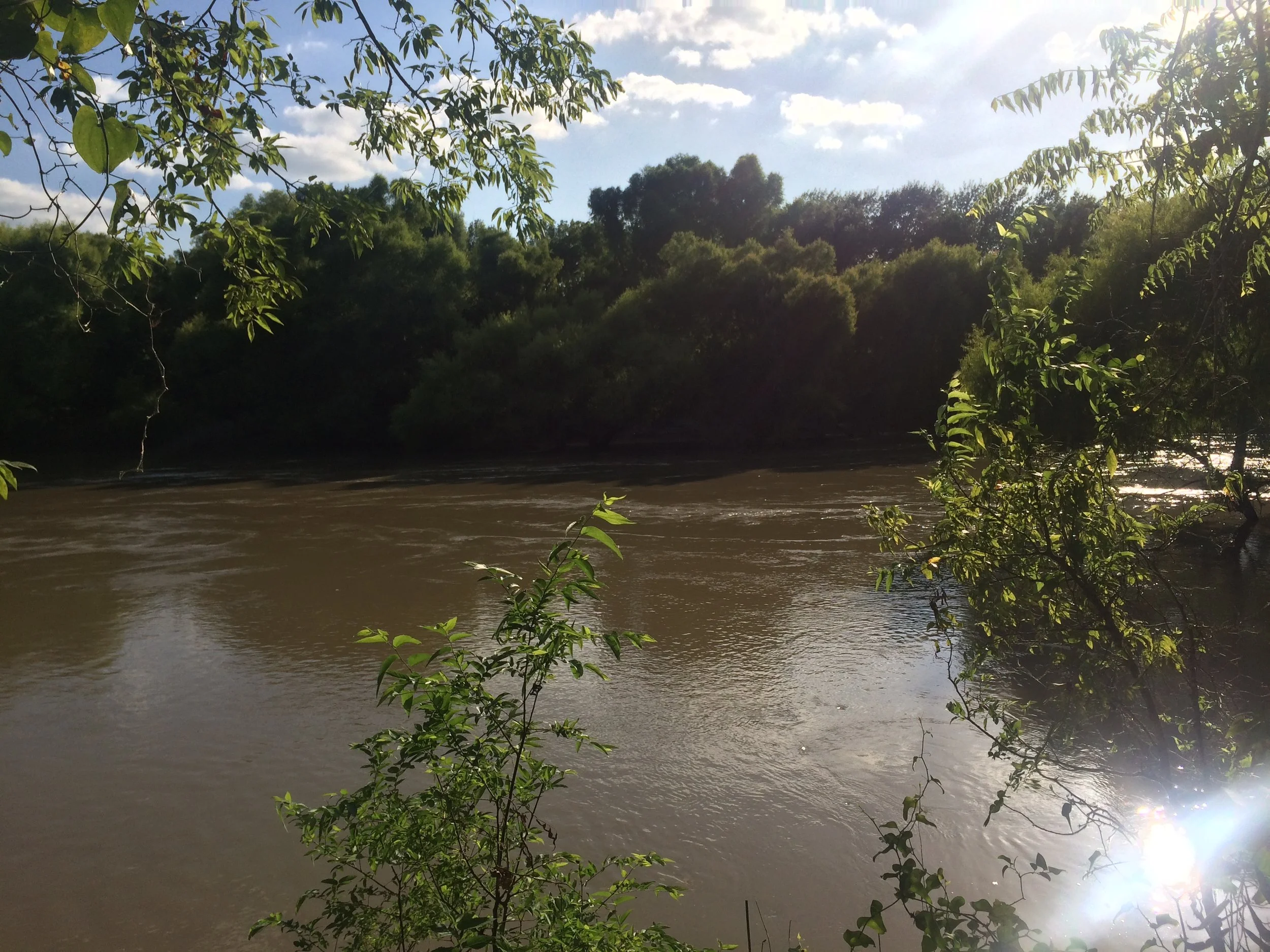 High water Trinity in summer 2015