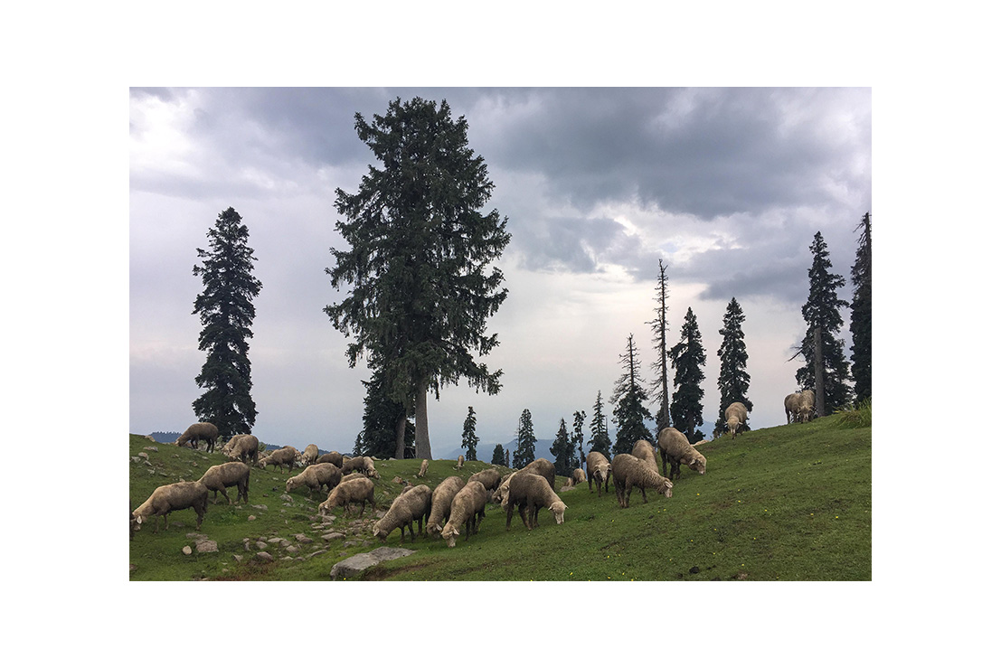 Gulmarg 4 OF 5