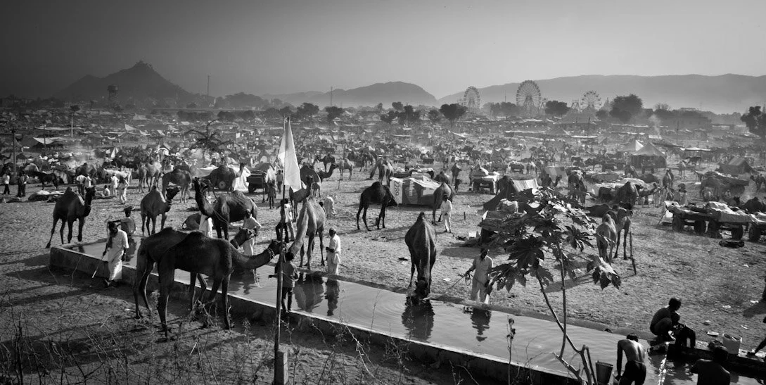 Pushkar Ka Mela - Black and White Stories
