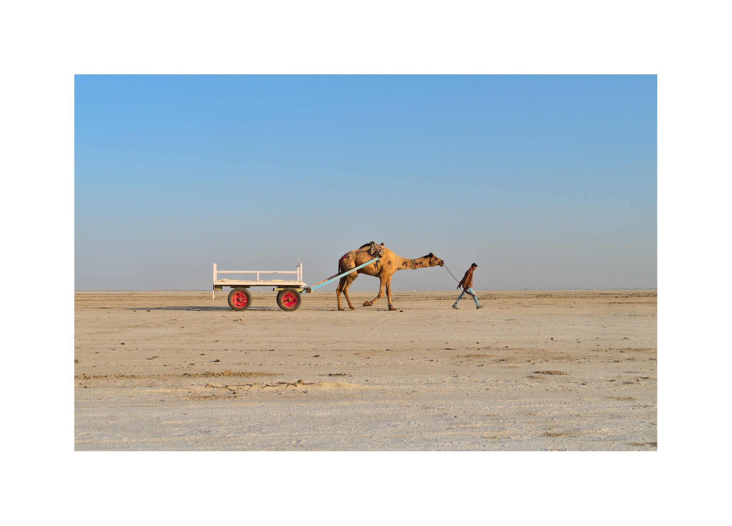 Rann of Kutch 2 of 6