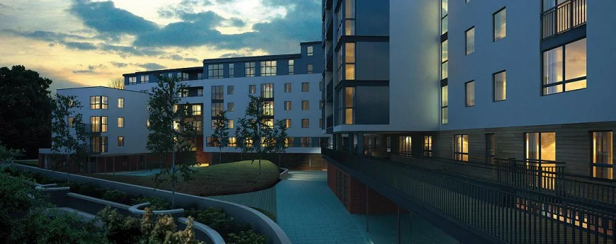 cgi-night-870x345.jpg