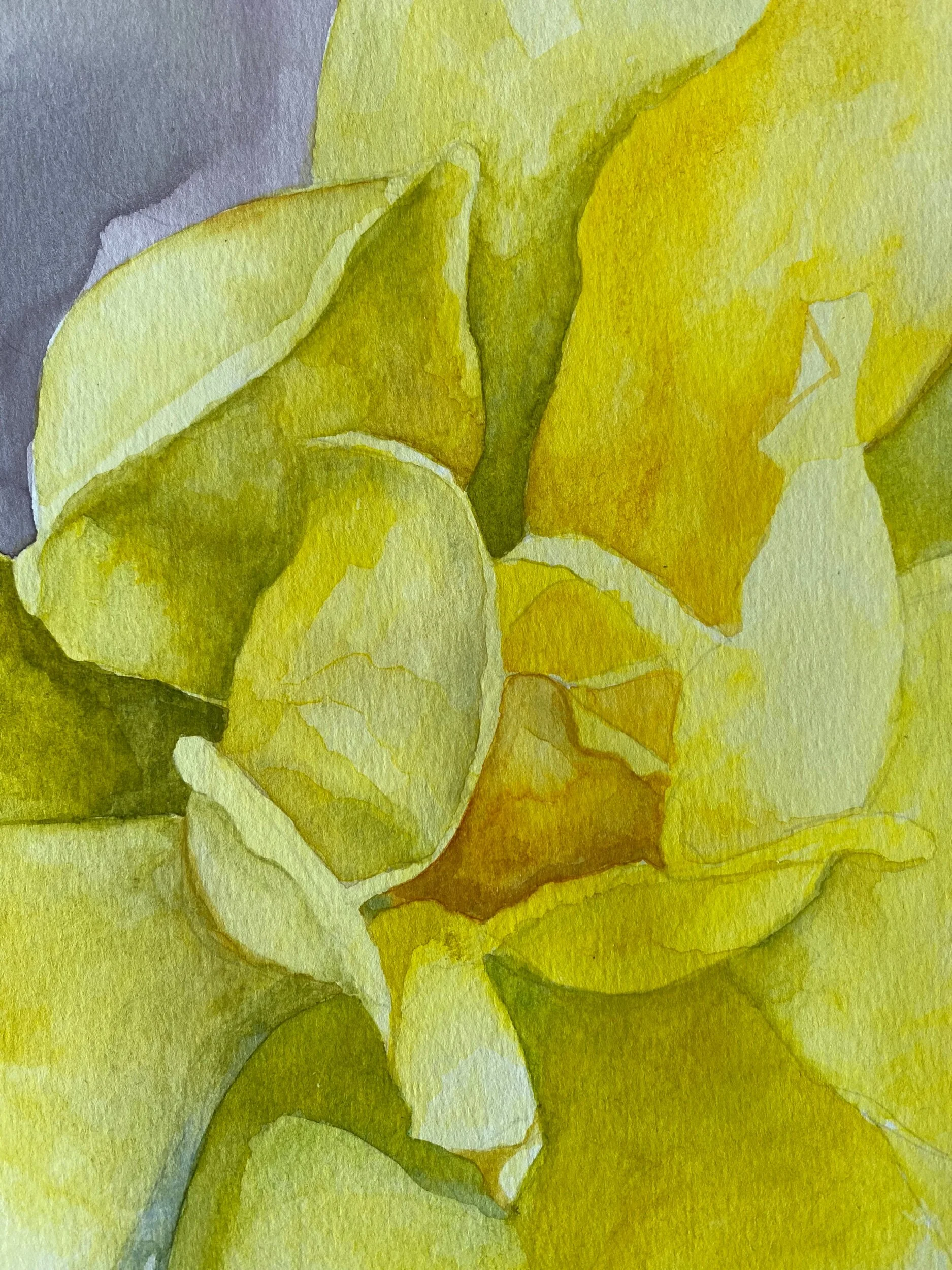 A49E7ED9-EB4E-4C25-85E2-9B3235C8971E