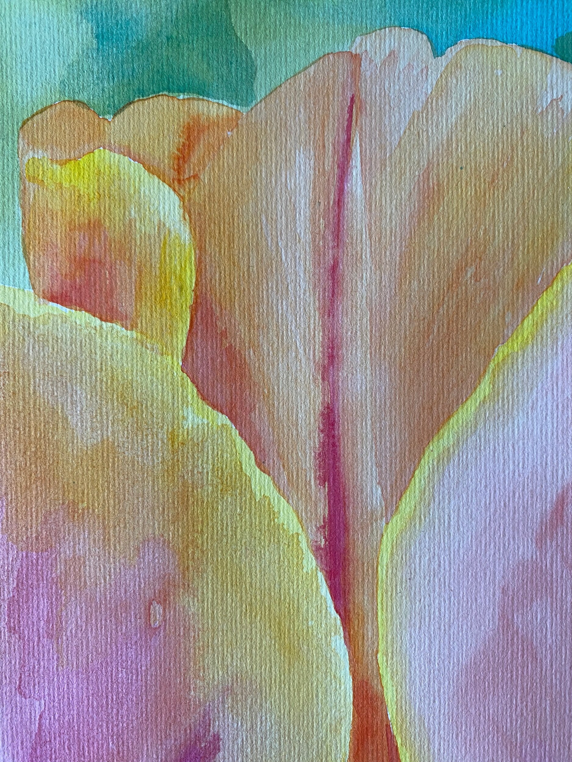 9FCC791B-0B1E-439C-97B2-0547583D2C7C