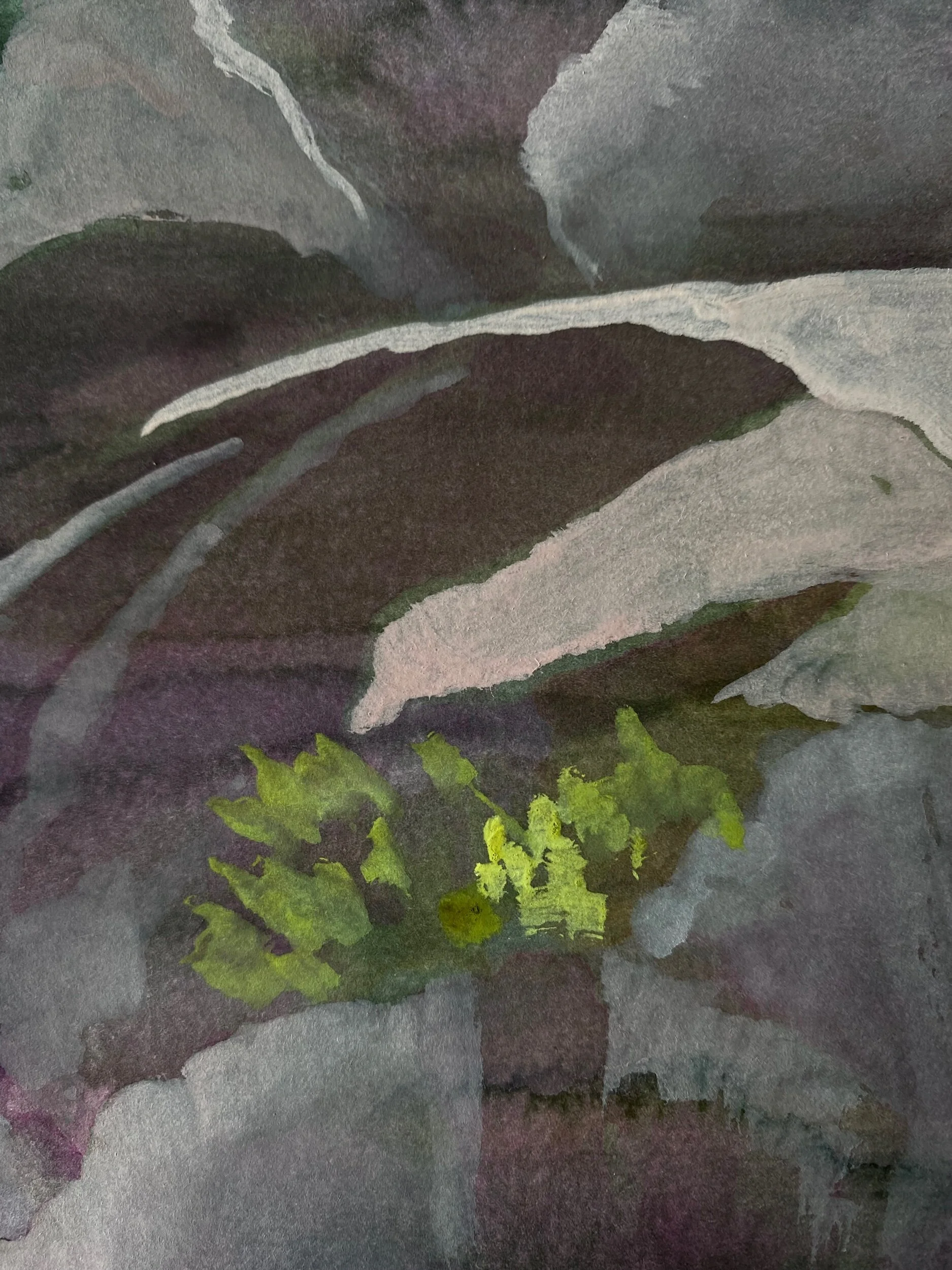 5F65E46E-F20A-491C-A3B8-B5DE20D4EE26