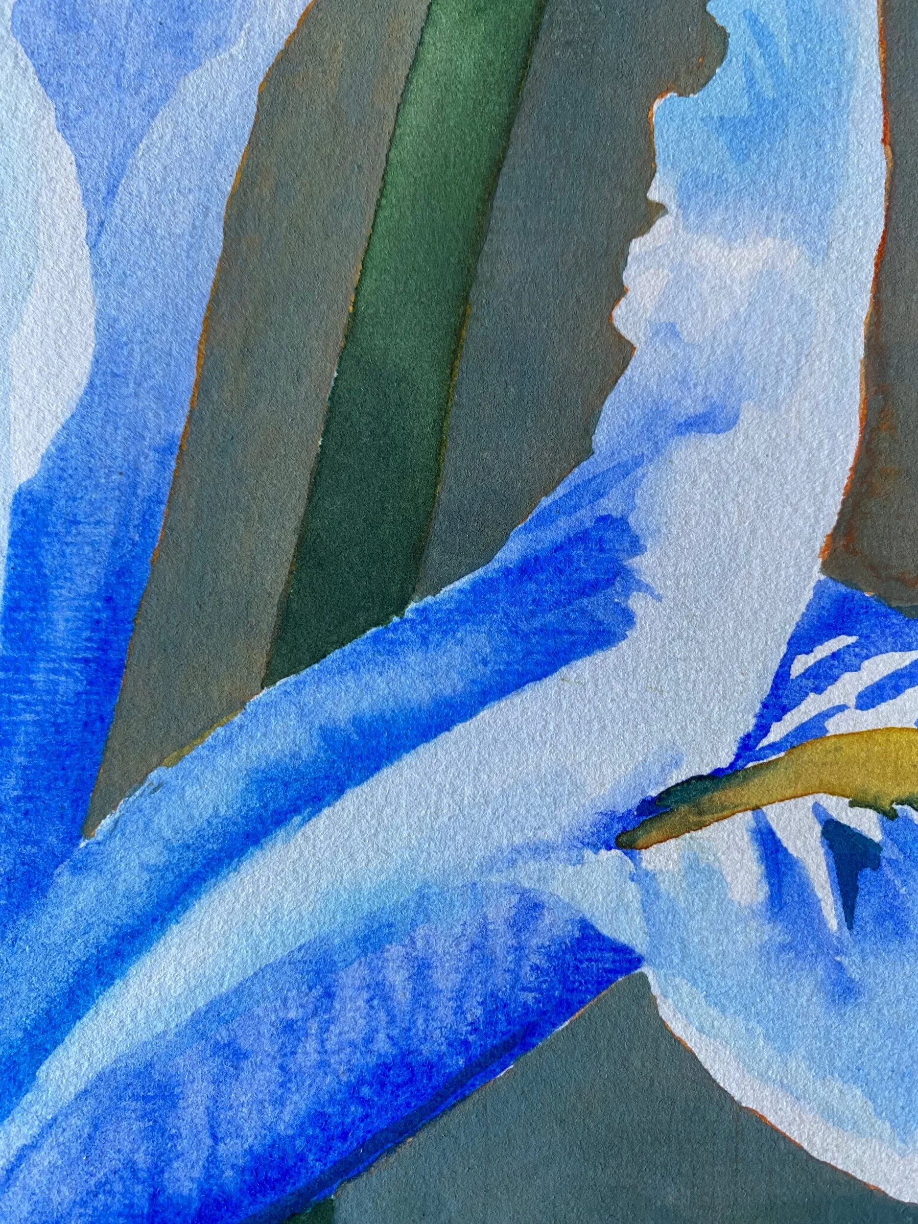 0778E29E-F859-4A5B-A8E8-5888C0557ED1