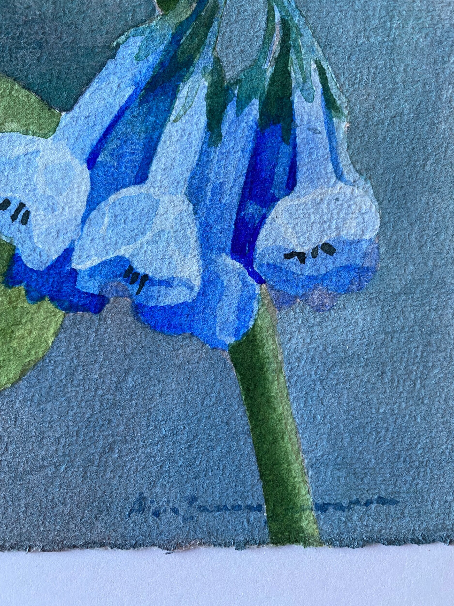 289794F2-90B6-47E4-AAAC-61AED6D7B1B1