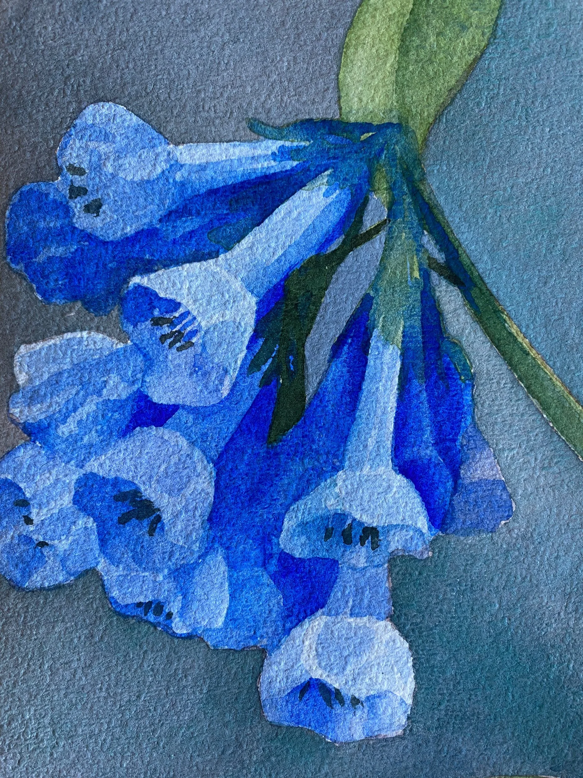 29F3077C-3841-49A3-8169-378320E5048F