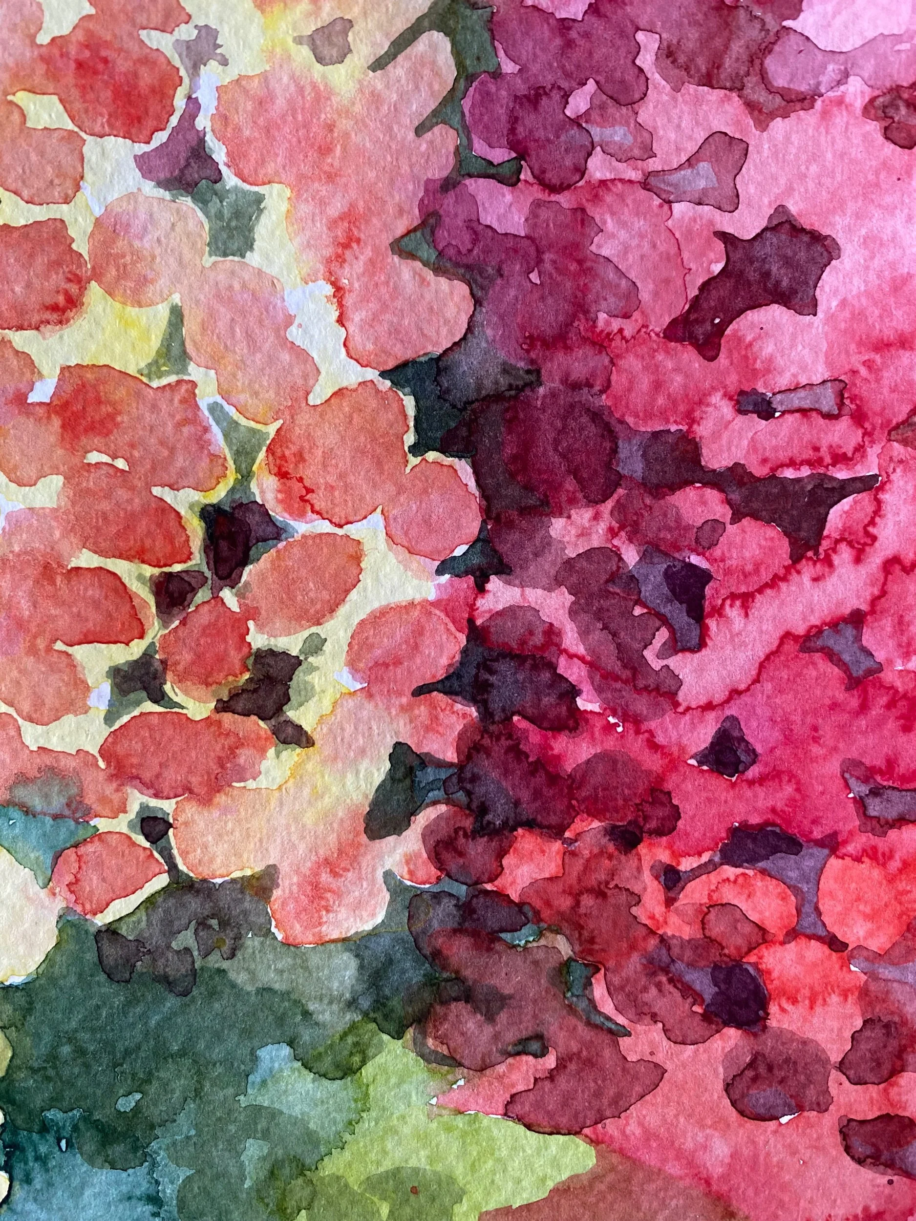 404C6430-EF6E-47F0-8D1C-8BDEDA37854E