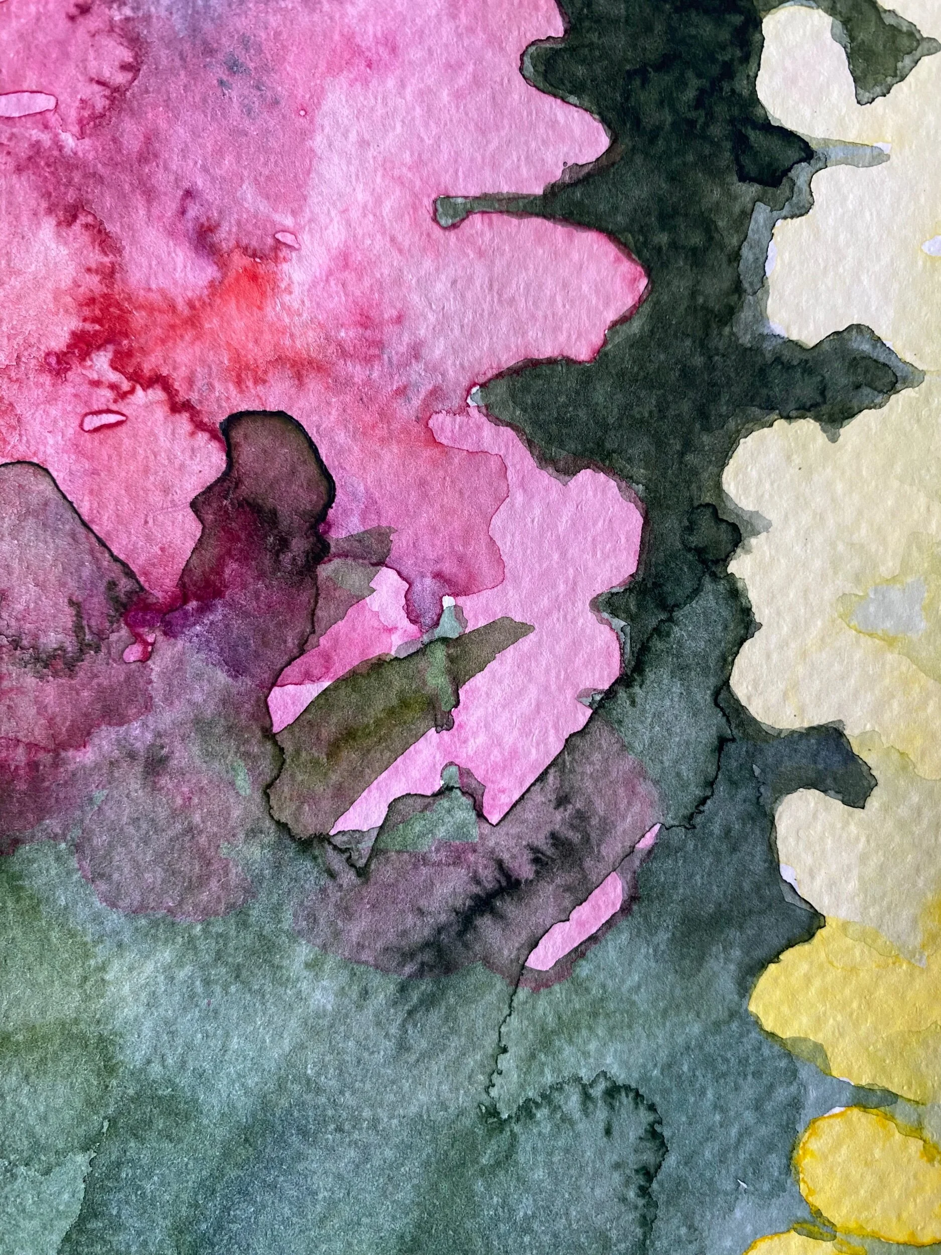 1E3FBB69-4ED6-4DE9-B707-7C85ED2DD0E2