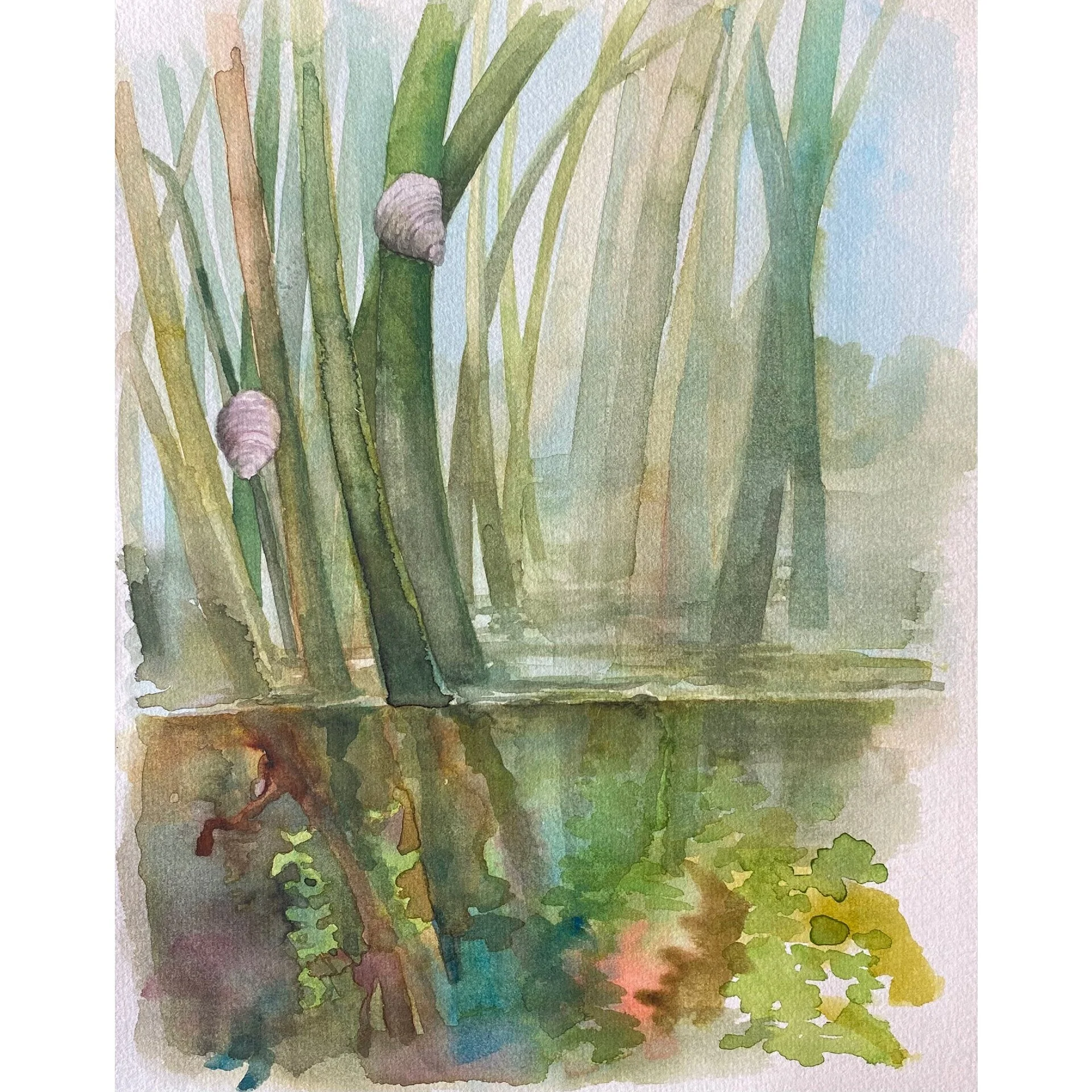 82E8DE7B-F213-4B7E-9A36-D475BD786939