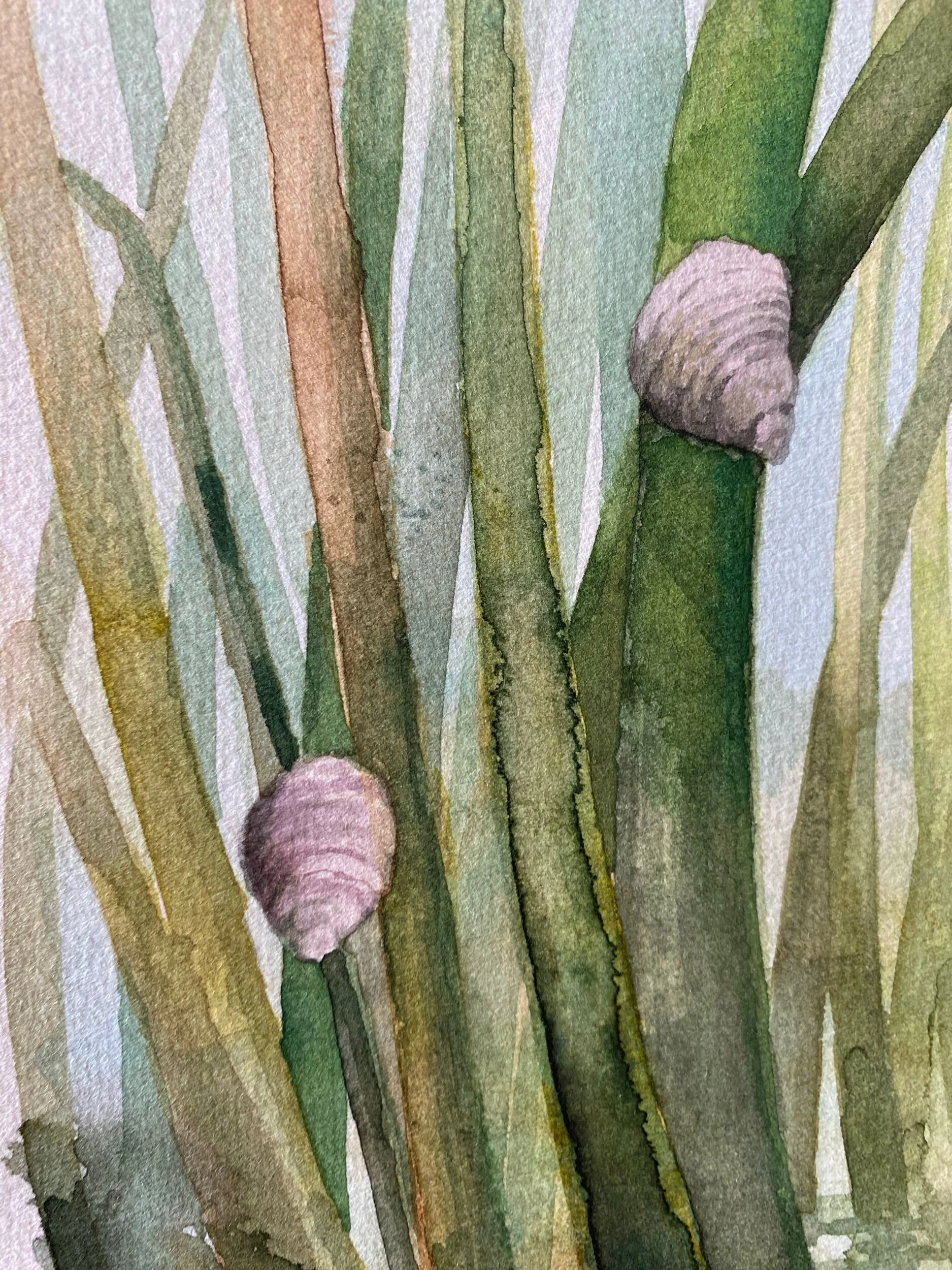 51959535-B0BA-4030-8D7A-0102345DC614