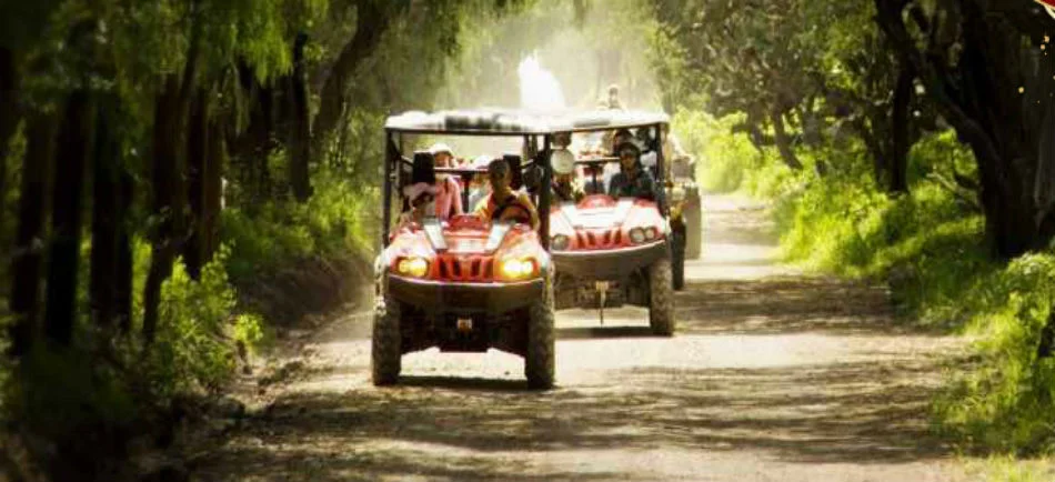 circ_atv_Sma