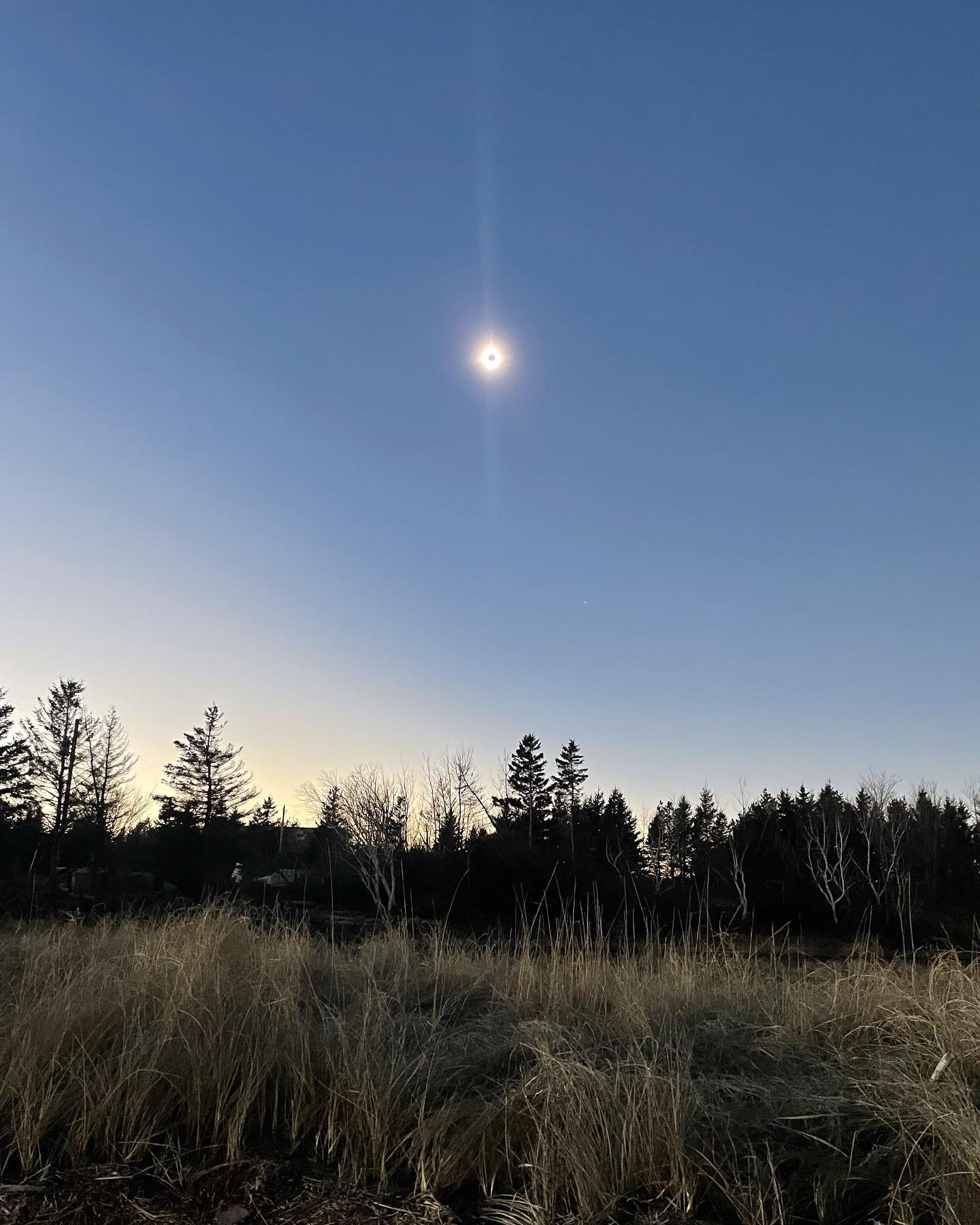 Ok that solar eclipse was soooo cool 😎 
Definitely worth the rip out to the country for the &ldquo;zone of totality &ldquo; 🚗 🏖️ (thanks for teaching us the term @nickonthefarm 🥂 ☀️) #solareclipse #PEI #sun #moon #beach #zoneoftotalilty #WOW 🤩 
