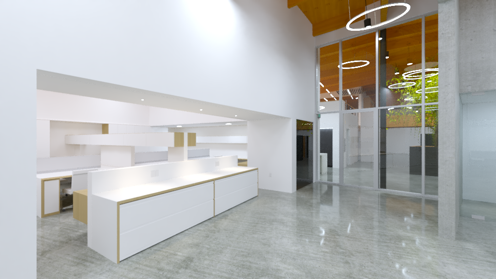 Tagliaferri Architects_ RipNDip new office space 1.png