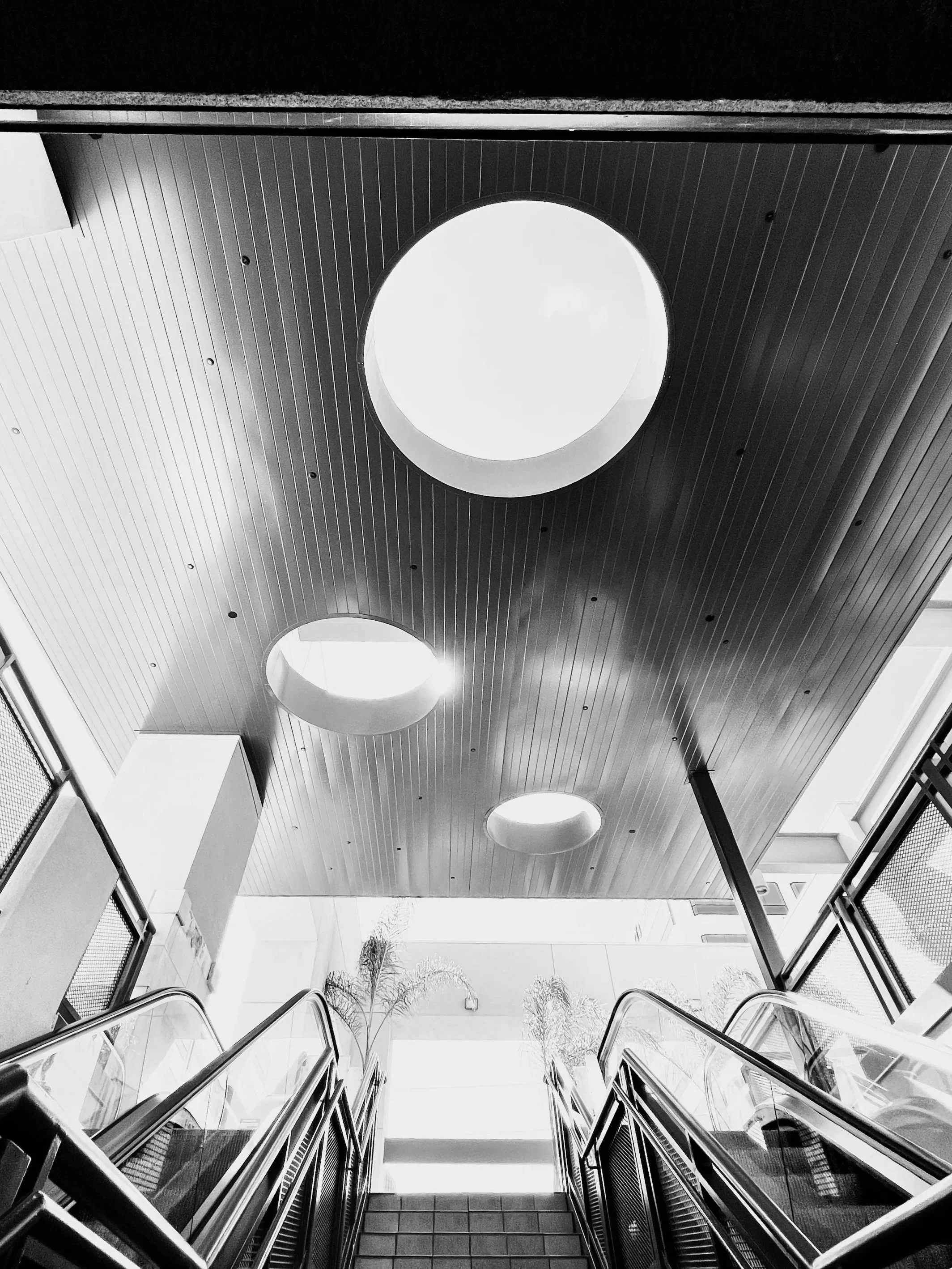 IMG_2292 (1).jpg